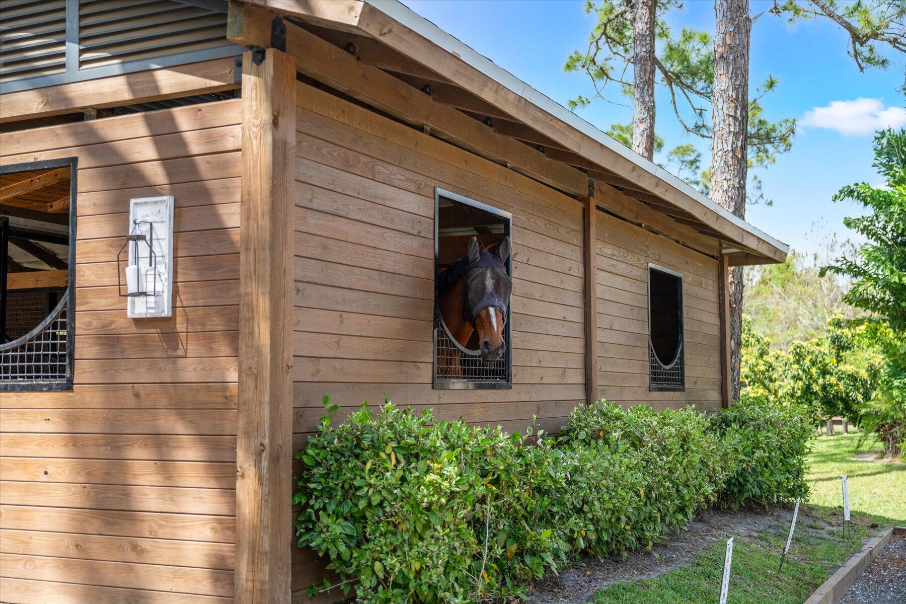 11459 Hawk Hollow
