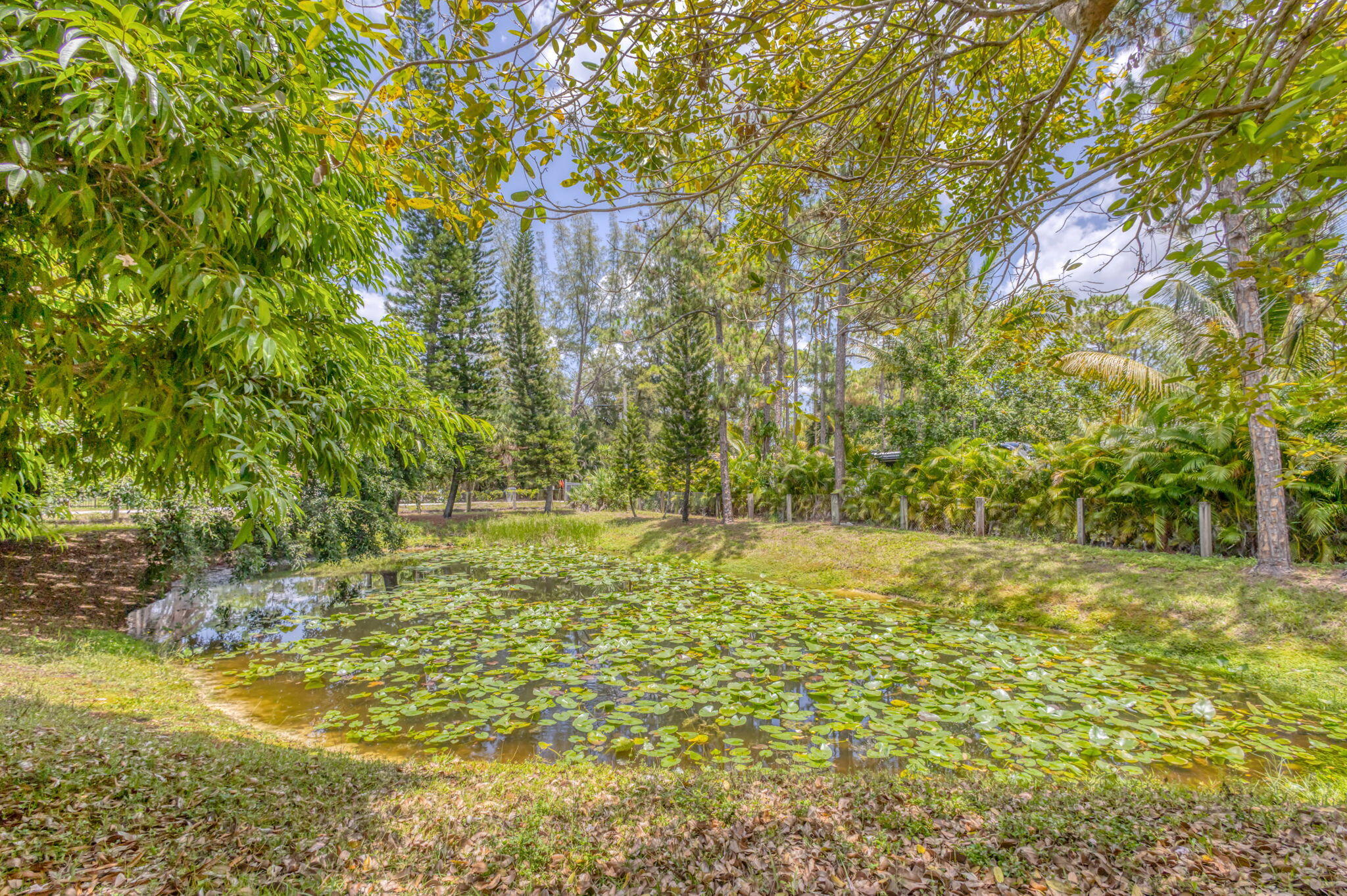 13705 Persimmon Boulevard