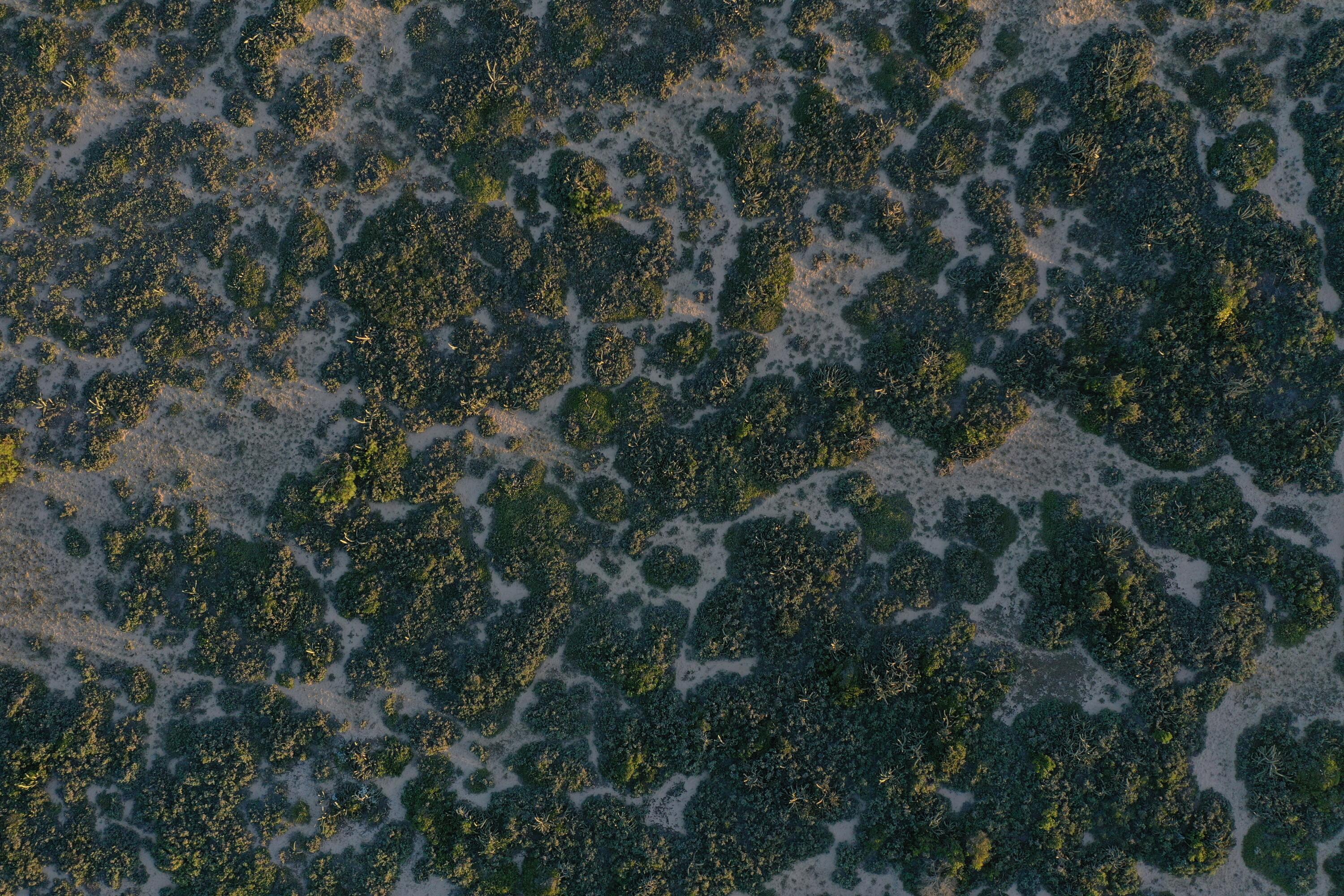 33373 Punta Del Diablo