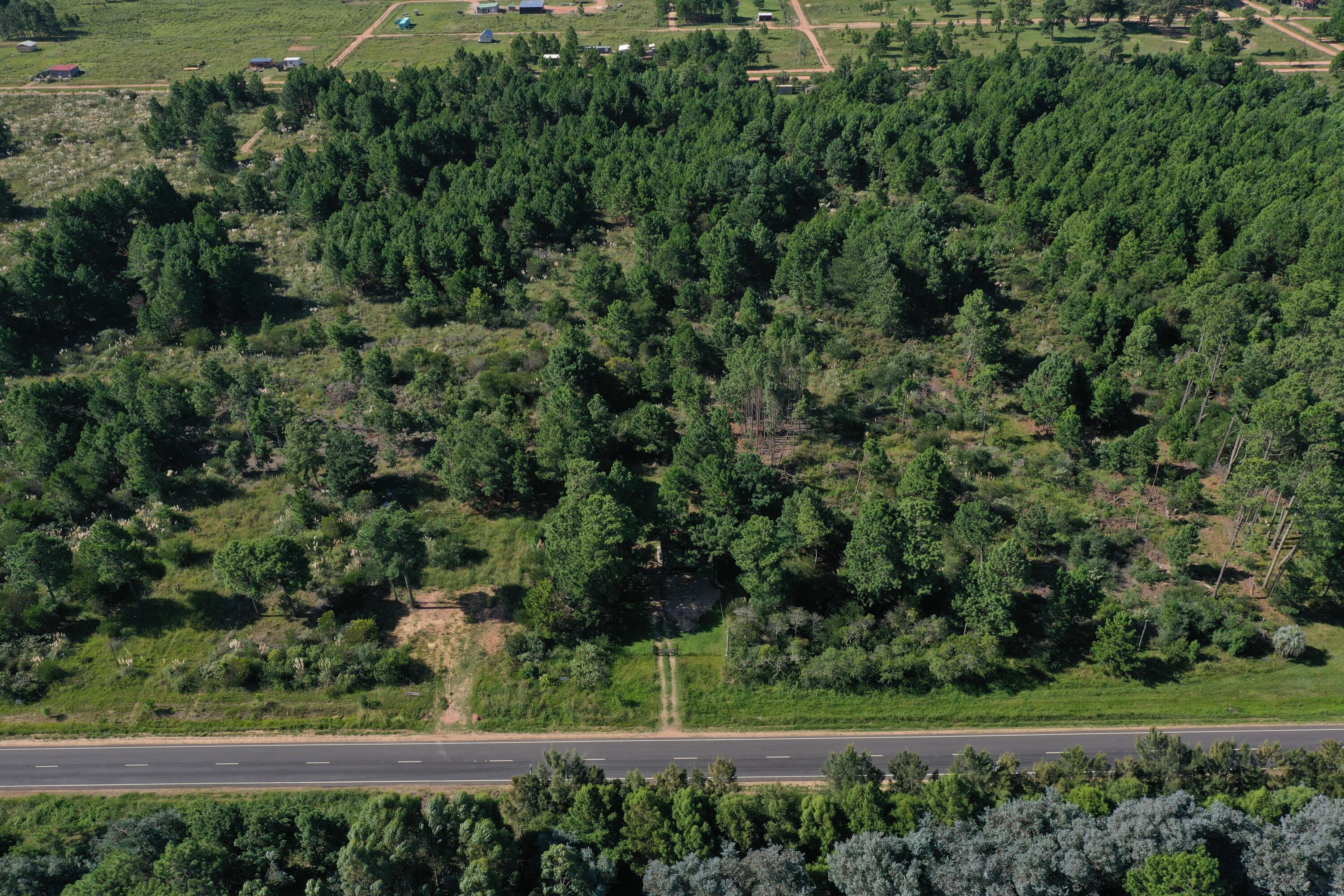 33373 Punta Del Diablo