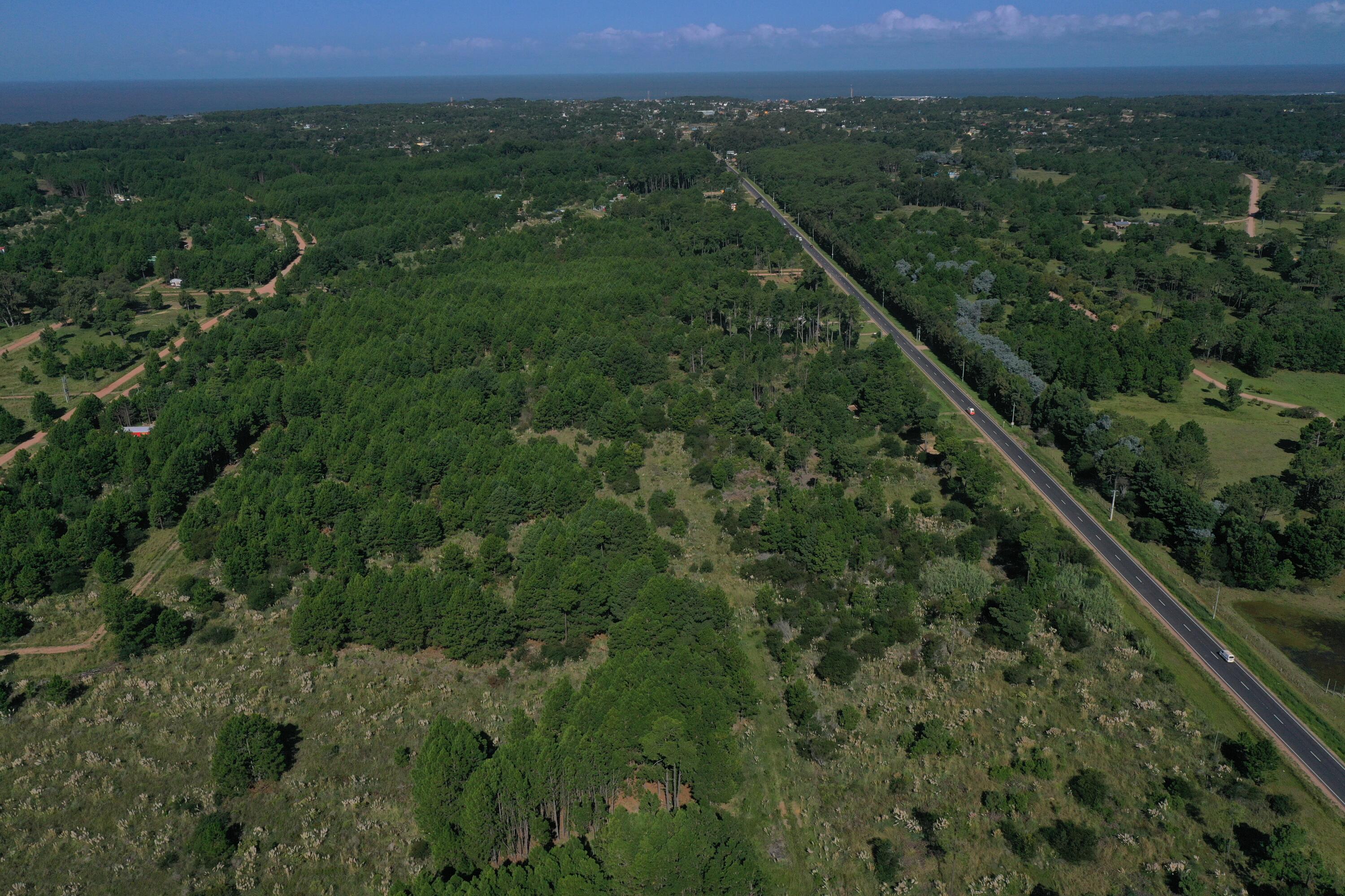 33373 Punta Del Diablo