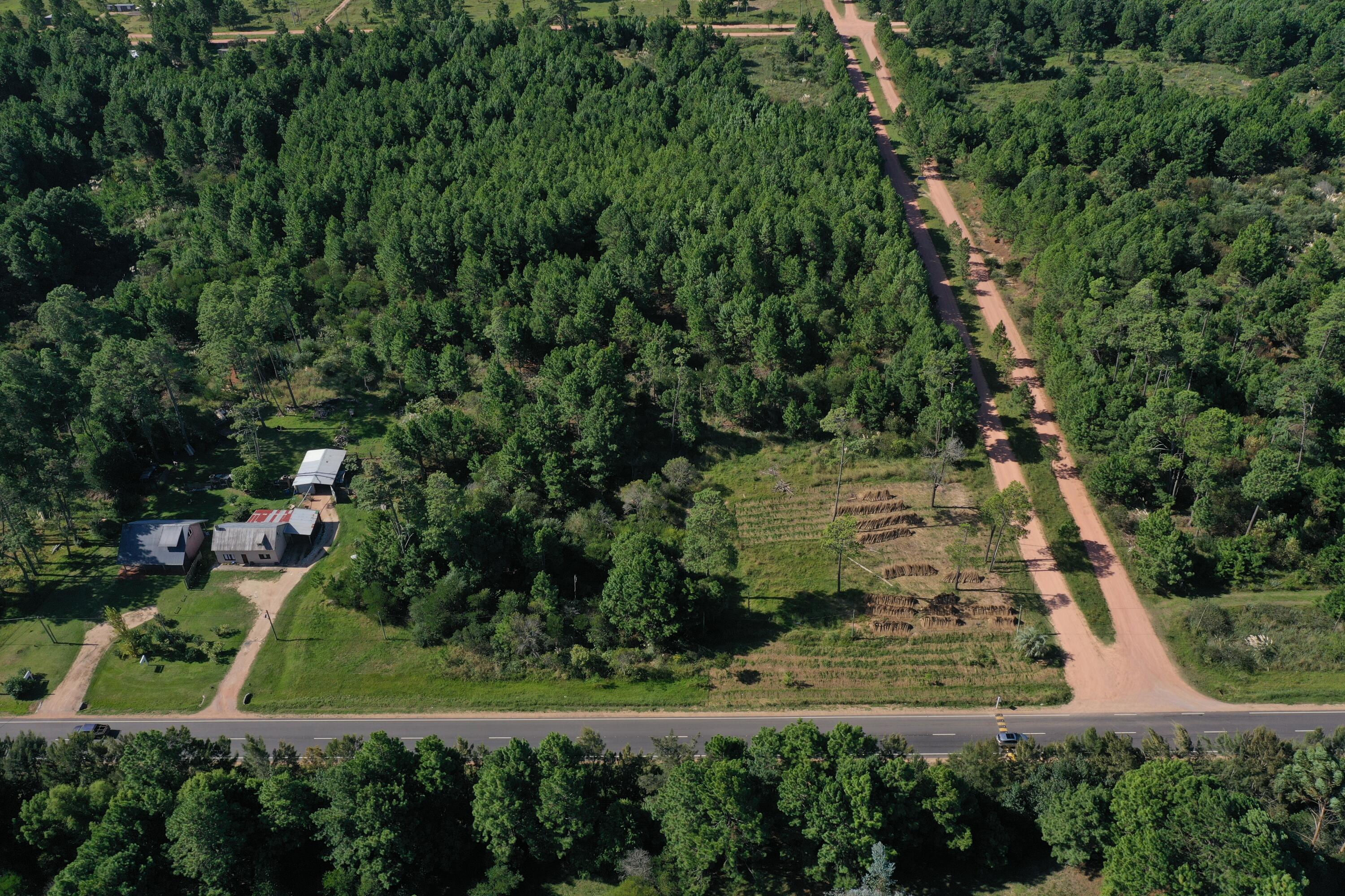 33373 Punta Del Diablo