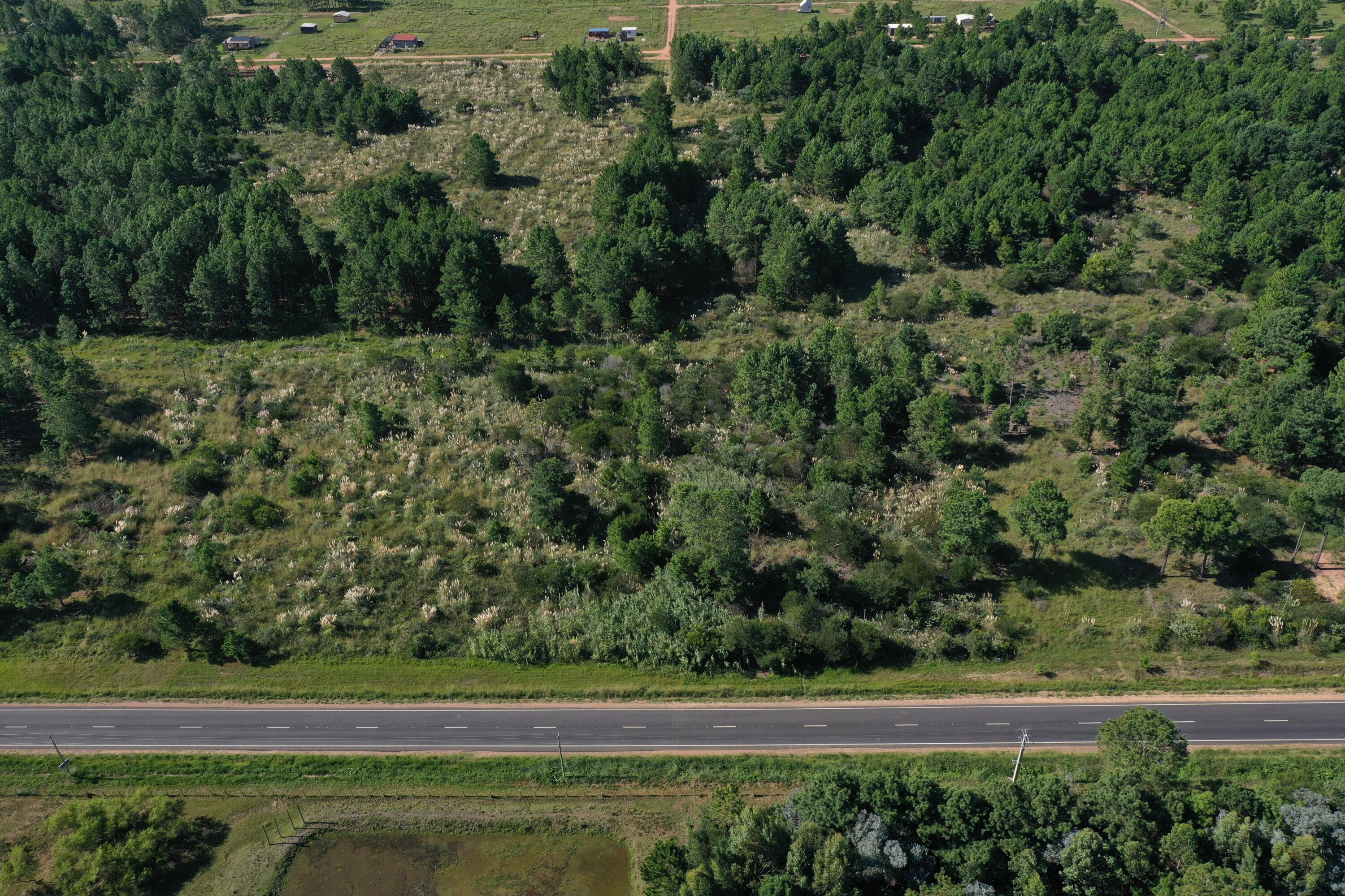 33373 Punta Del Diablo