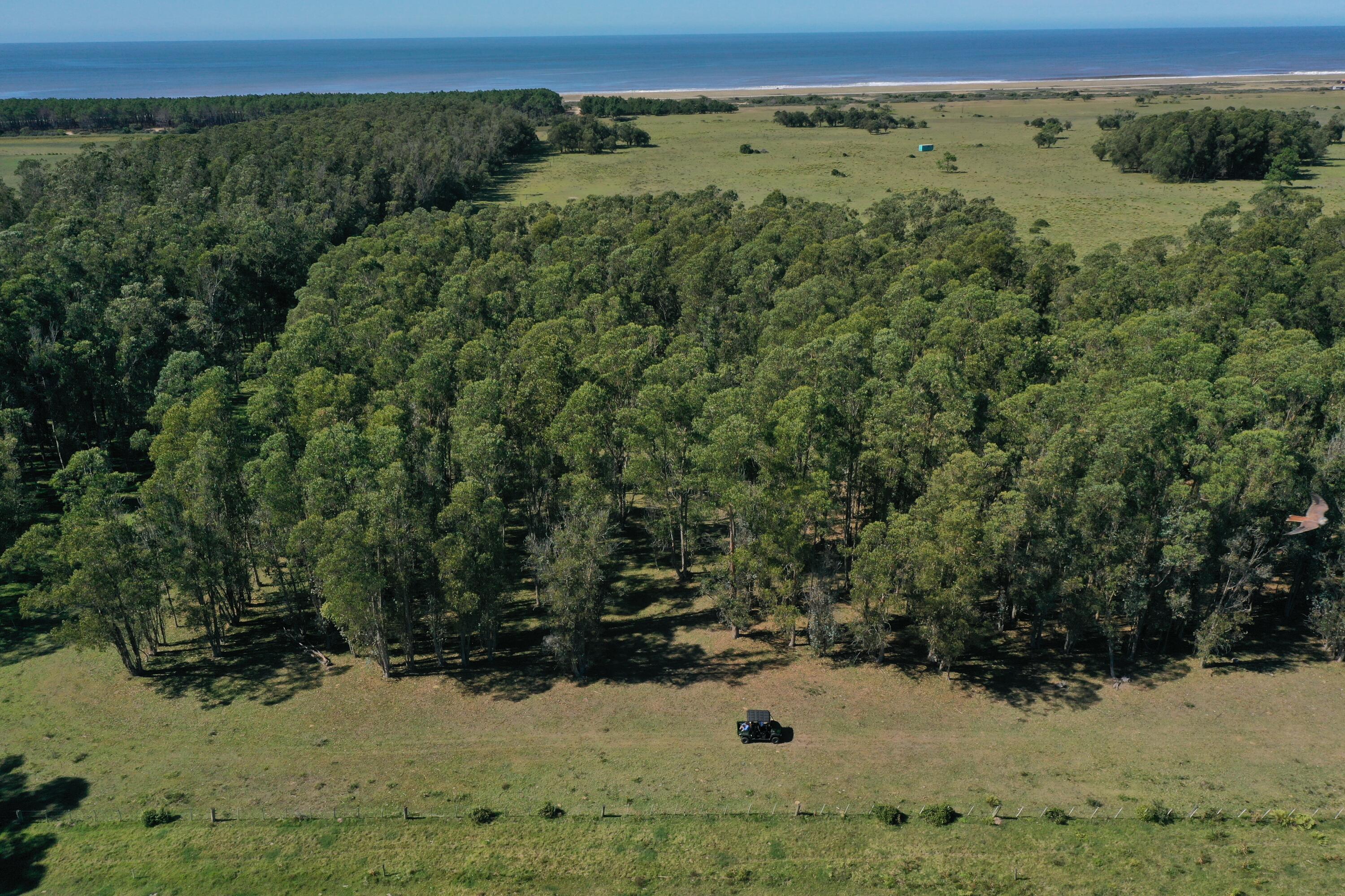 33373 Punta Del Diablo