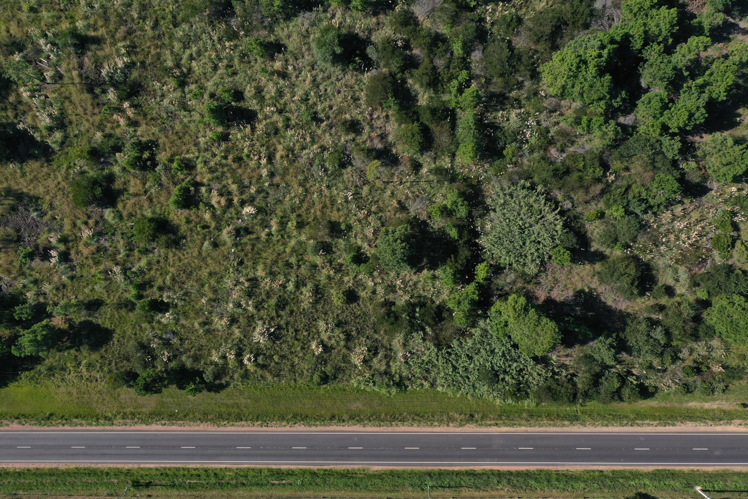 33382 Punta Del Diablo