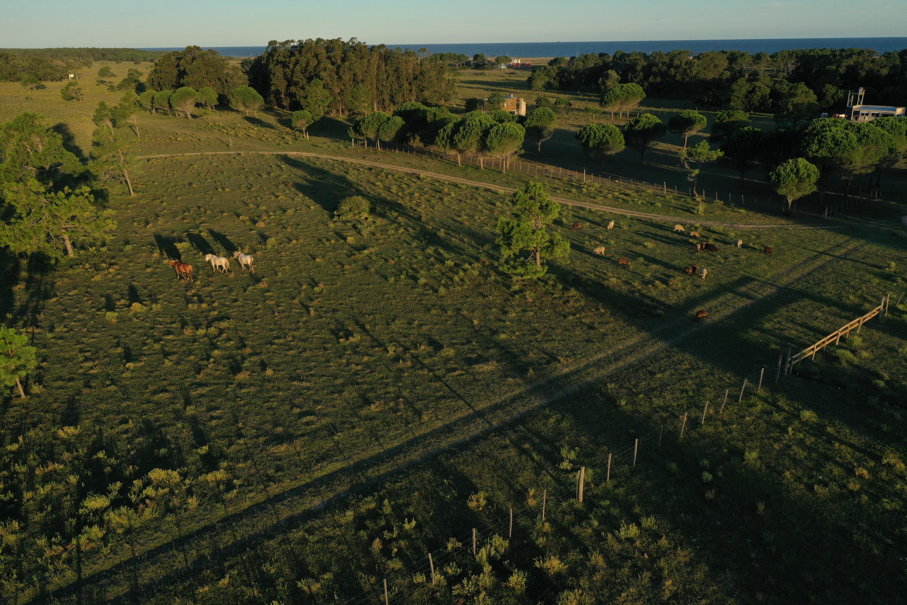 33382 Punta Del Diablo