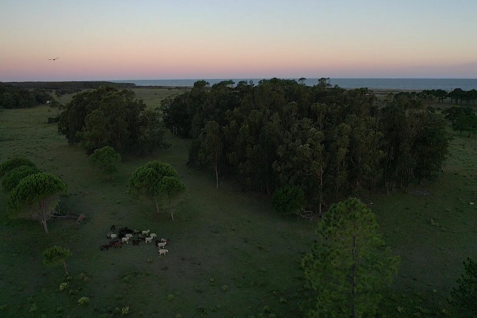 33382 Punta Del Diablo