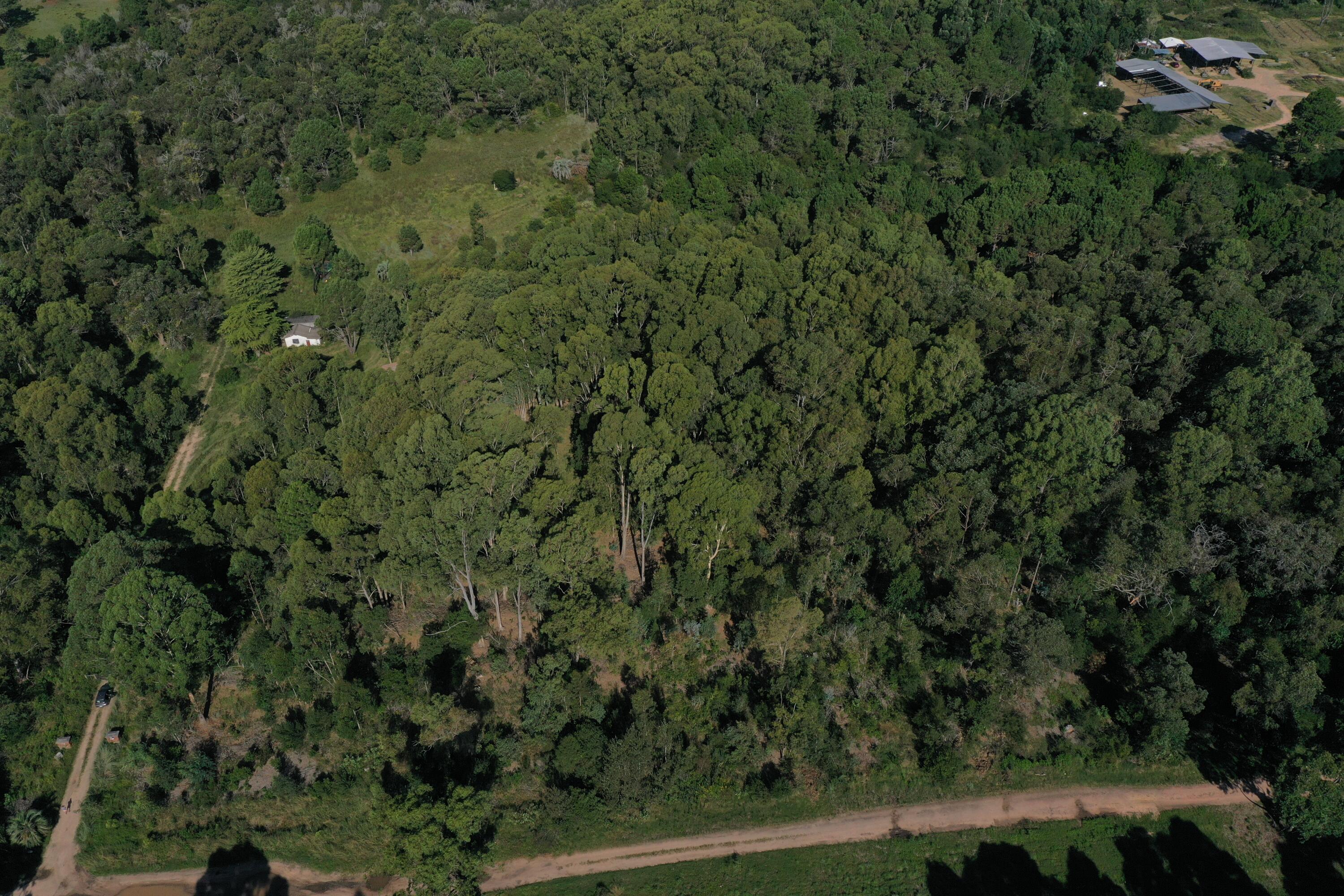 33382 Punta Del Diablo