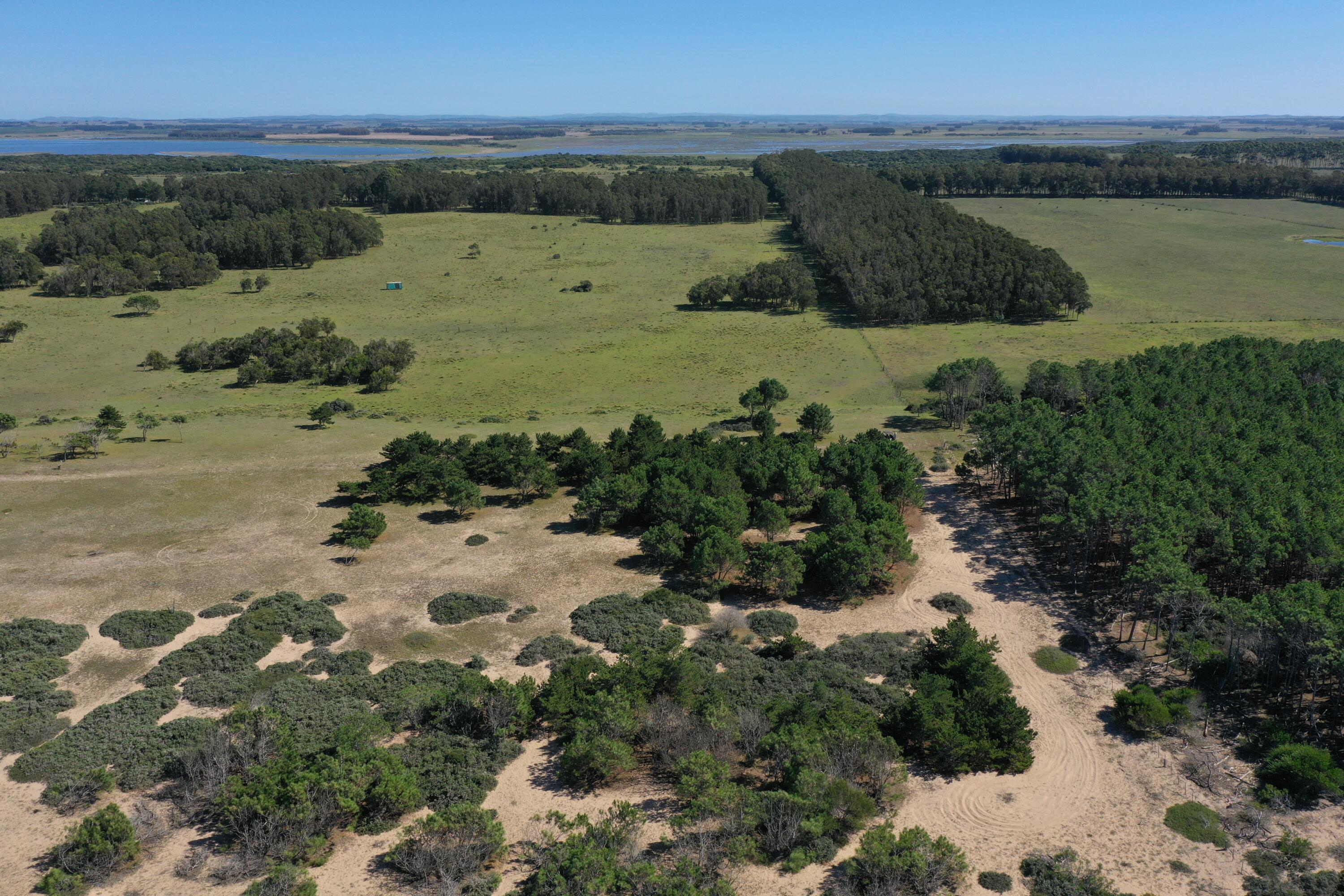 33382 Punta Del Diablo