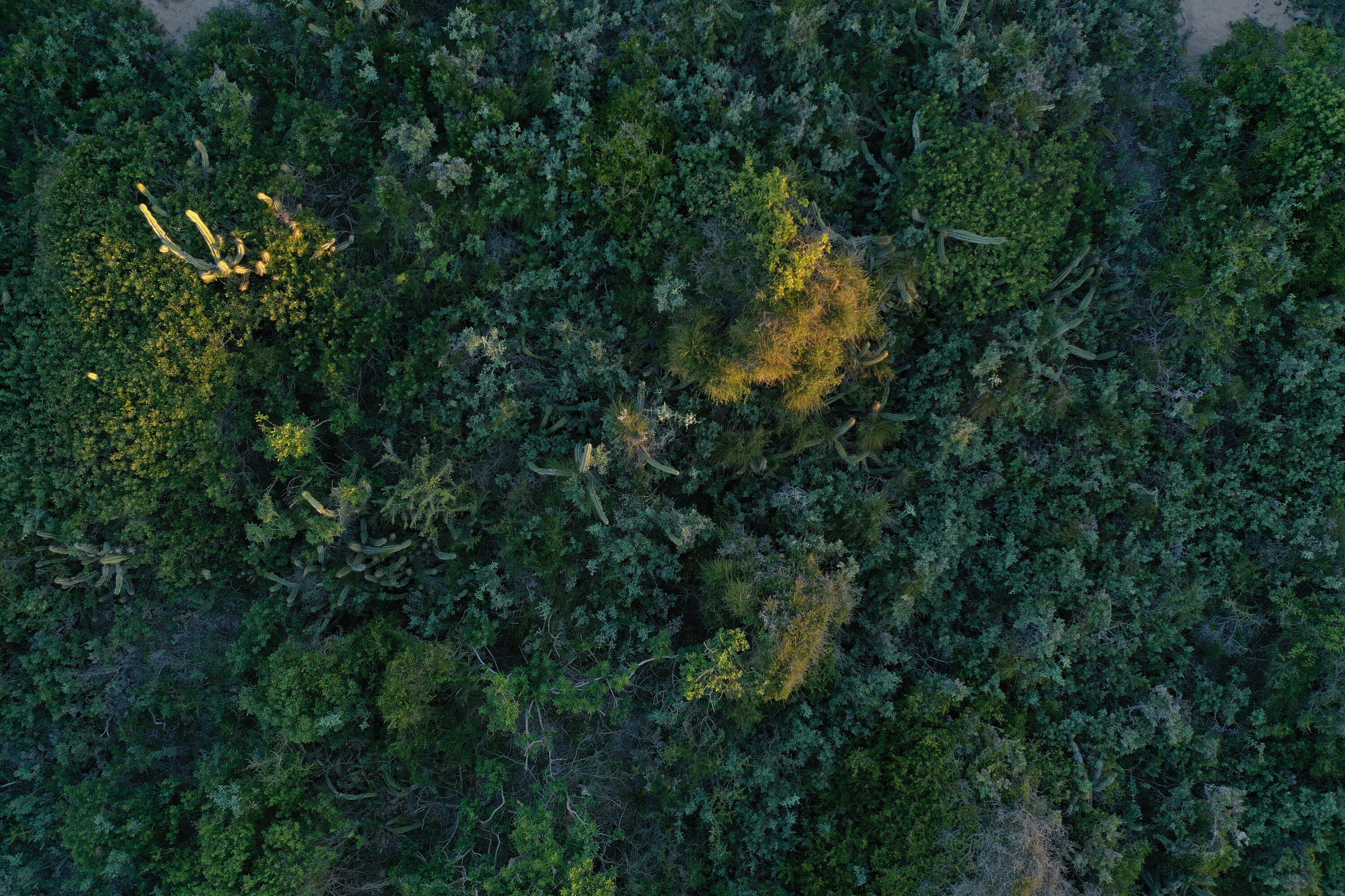 54053 Punta Del Diablo