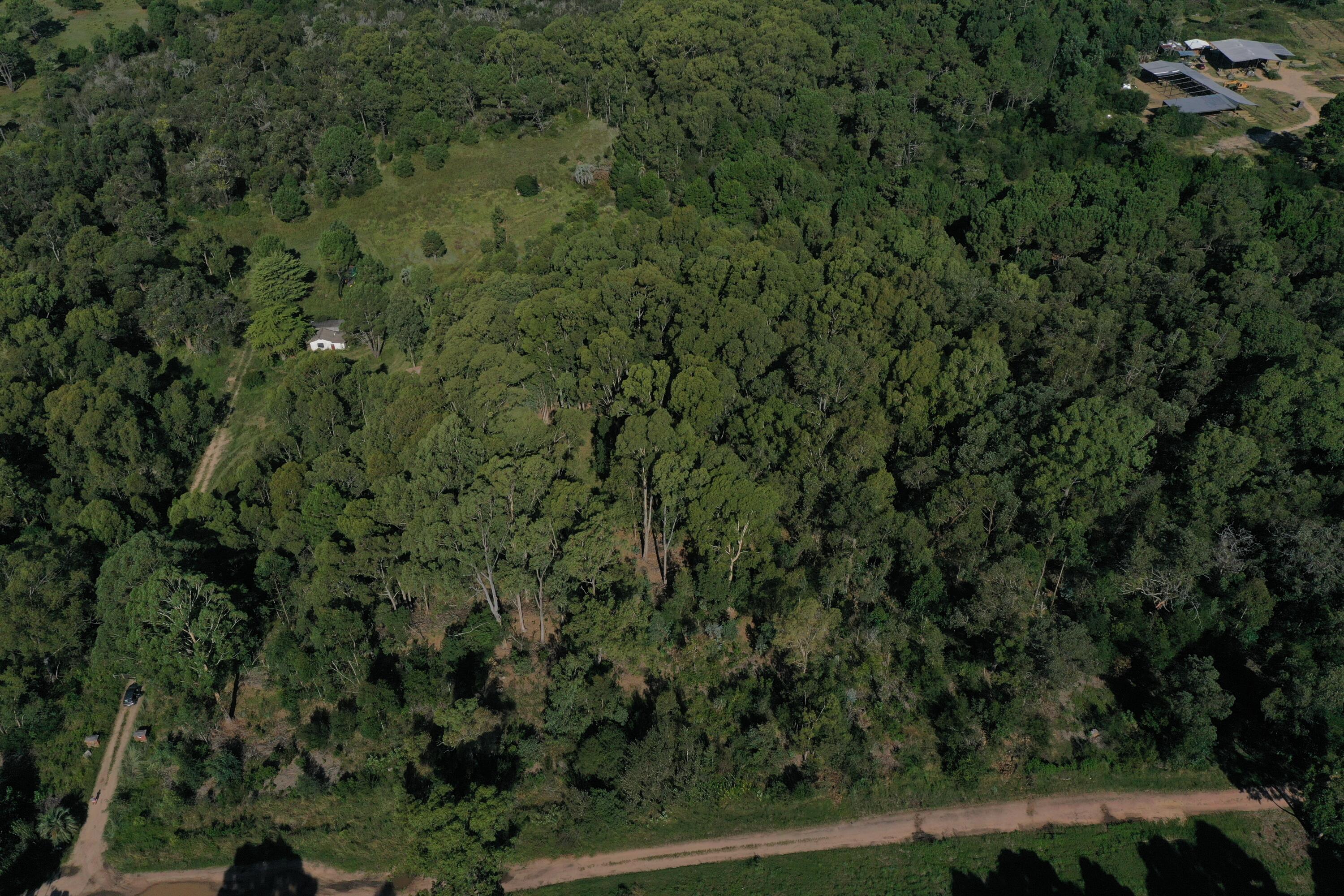 54053 Punta Del Diablo