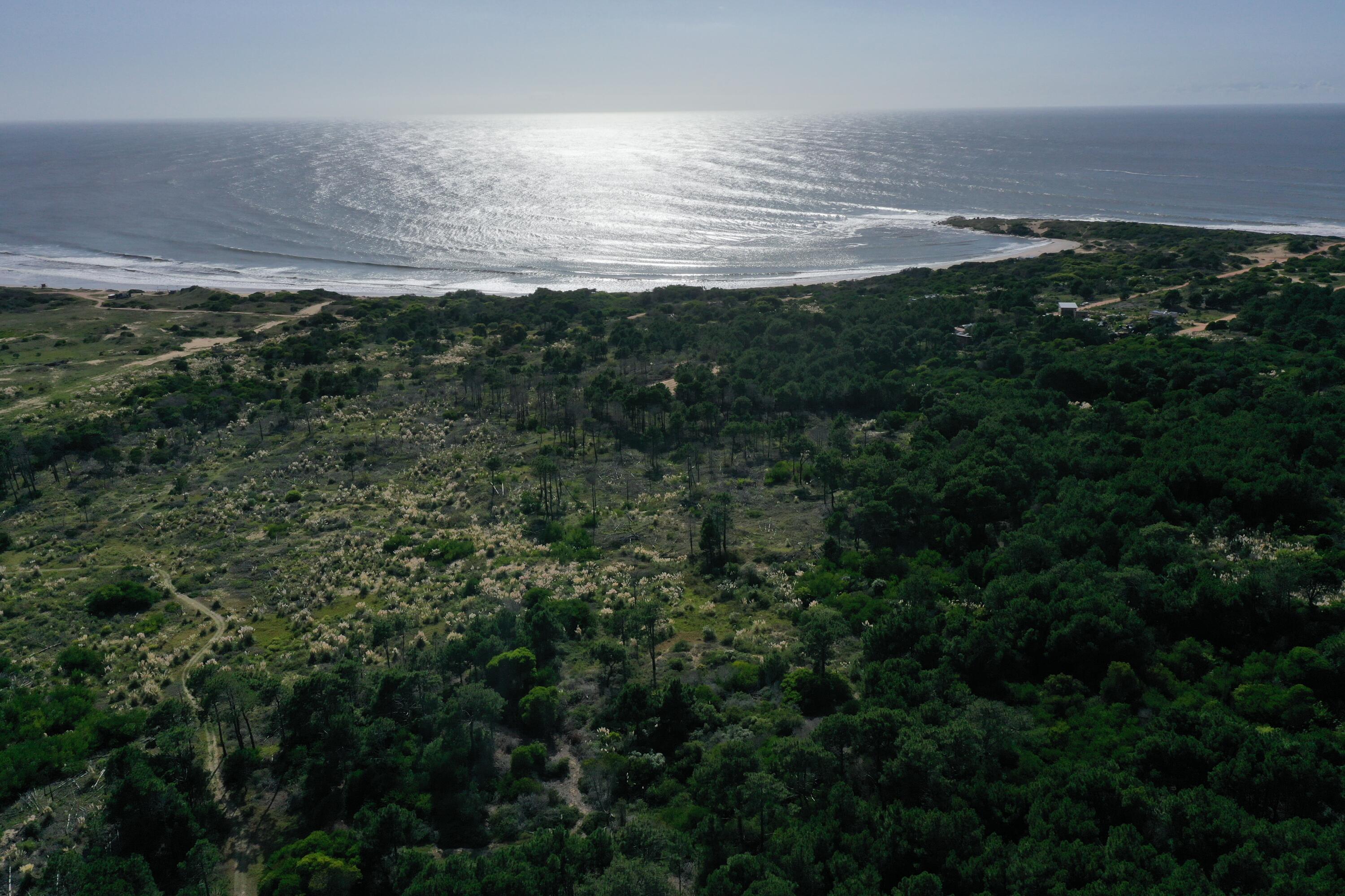 54053 Punta Del Diablo