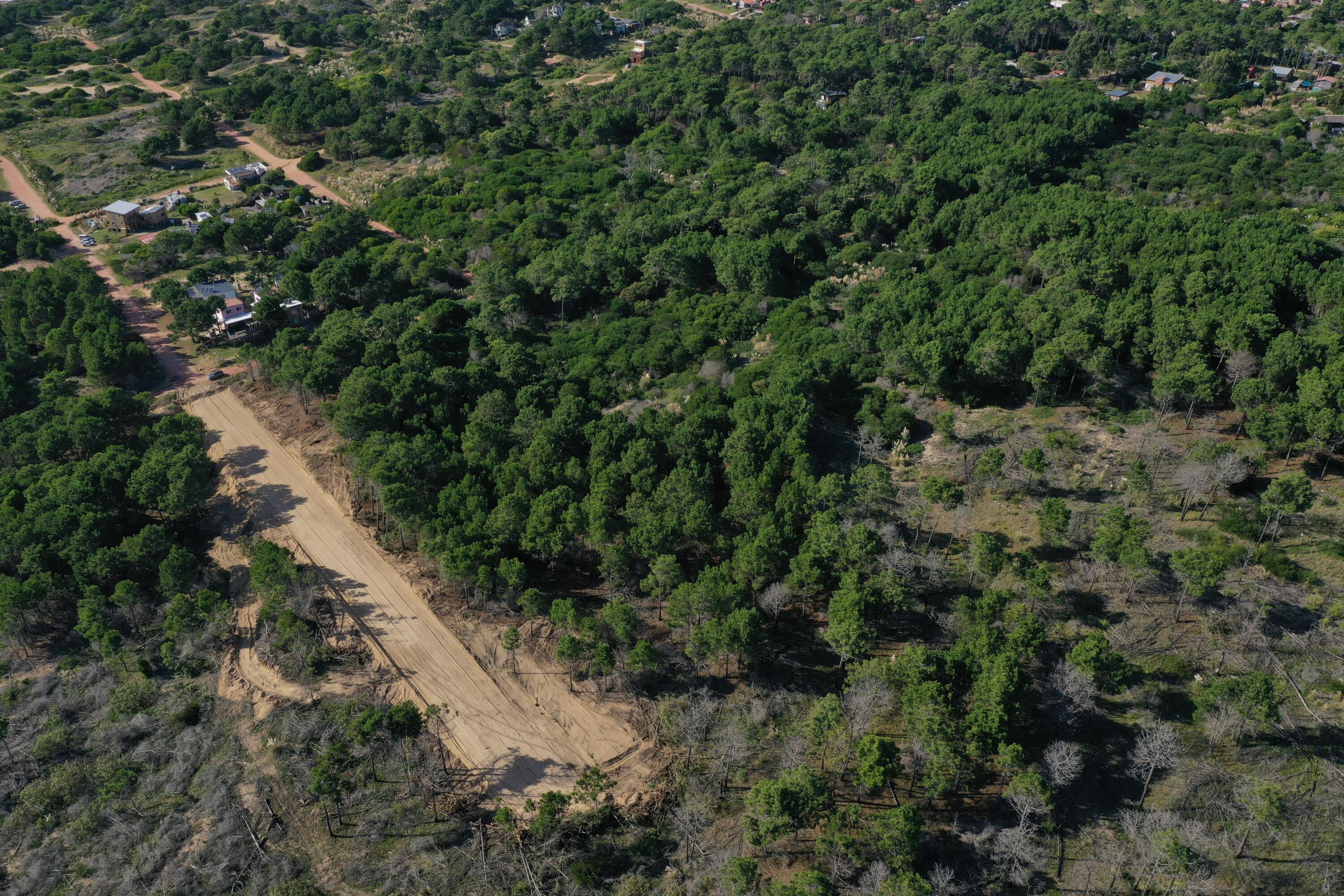 54053 Punta Del Diablo