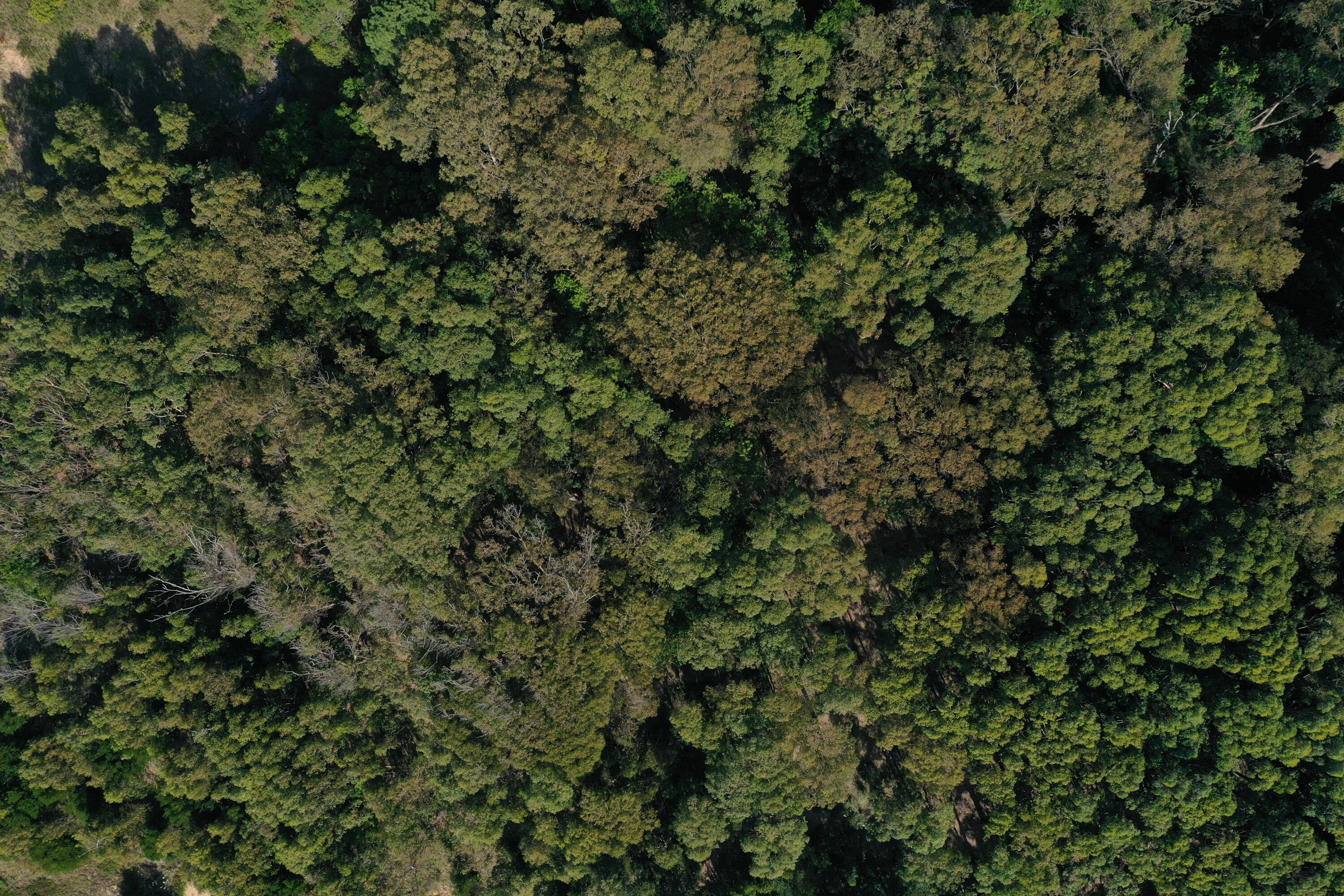 54209 Punta Del Diablo