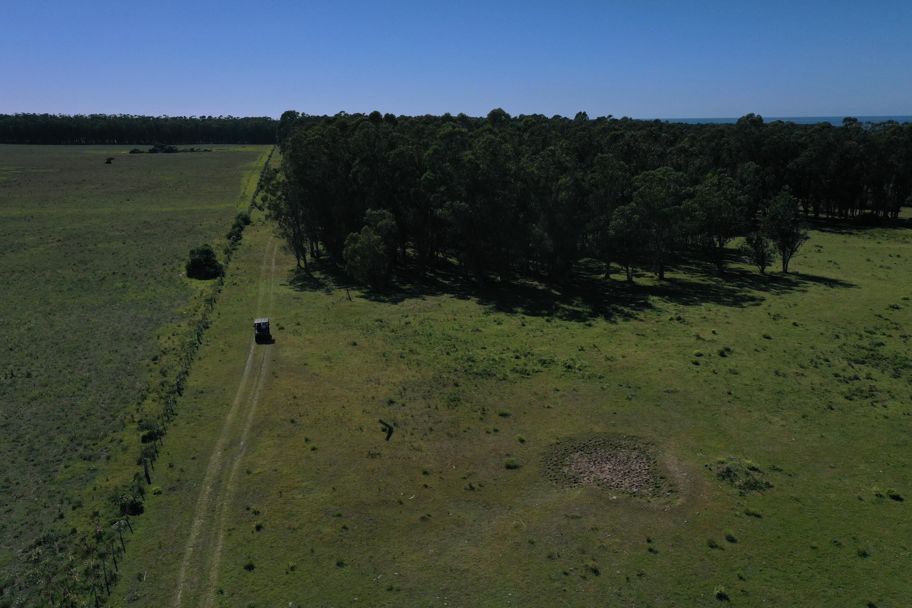 54209 Punta Del Diablo