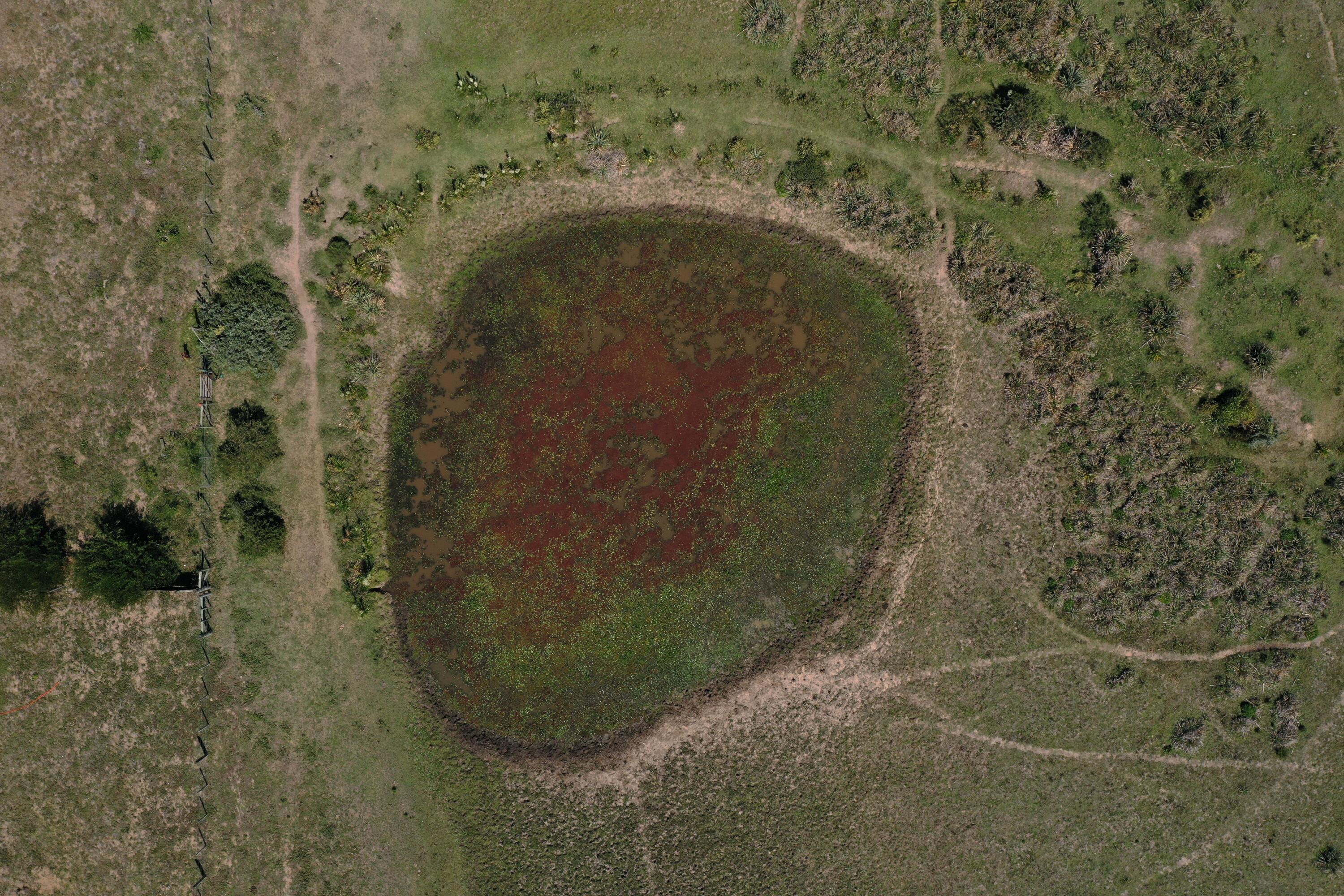 54209 Punta Del Diablo