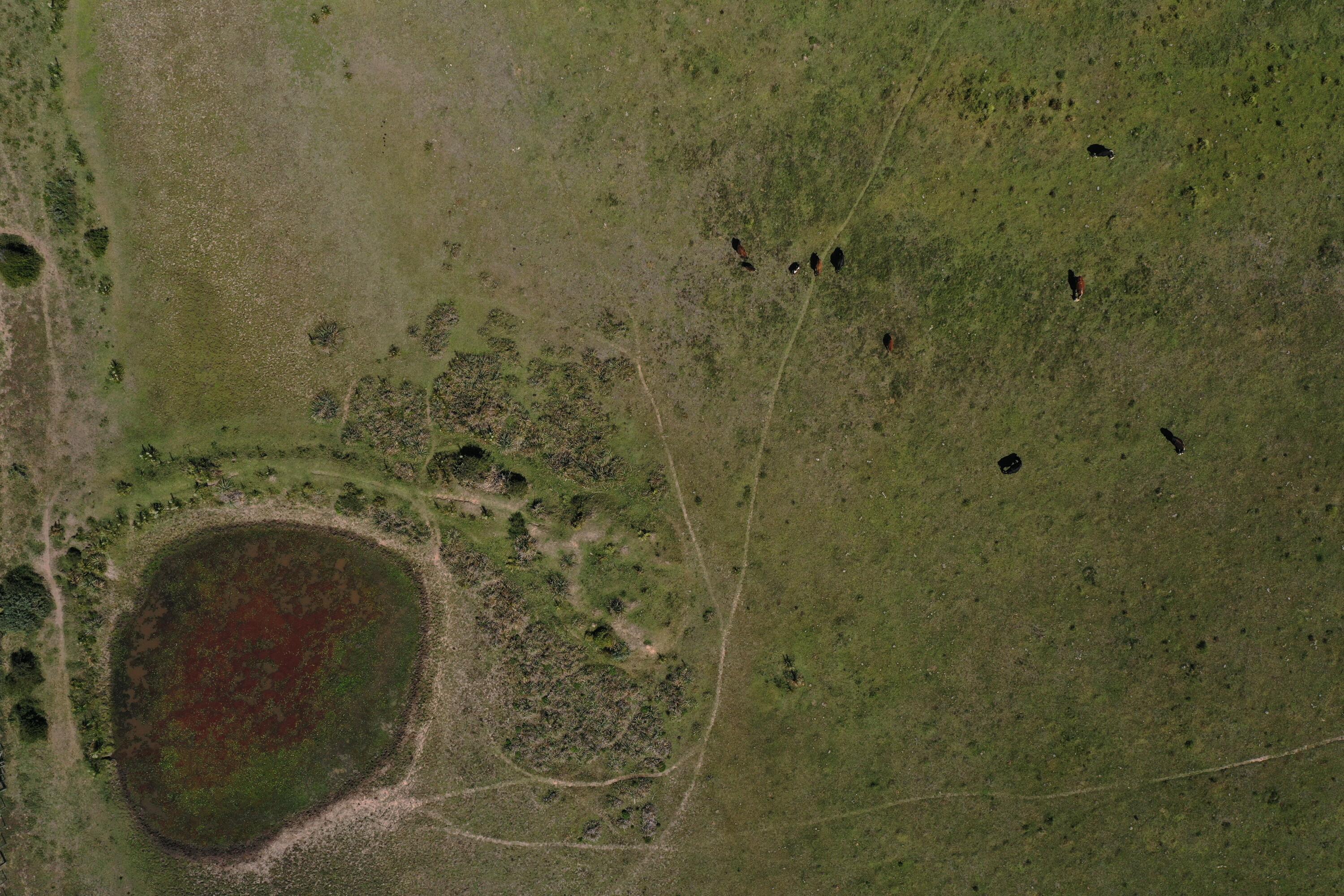 54209 Punta Del Diablo