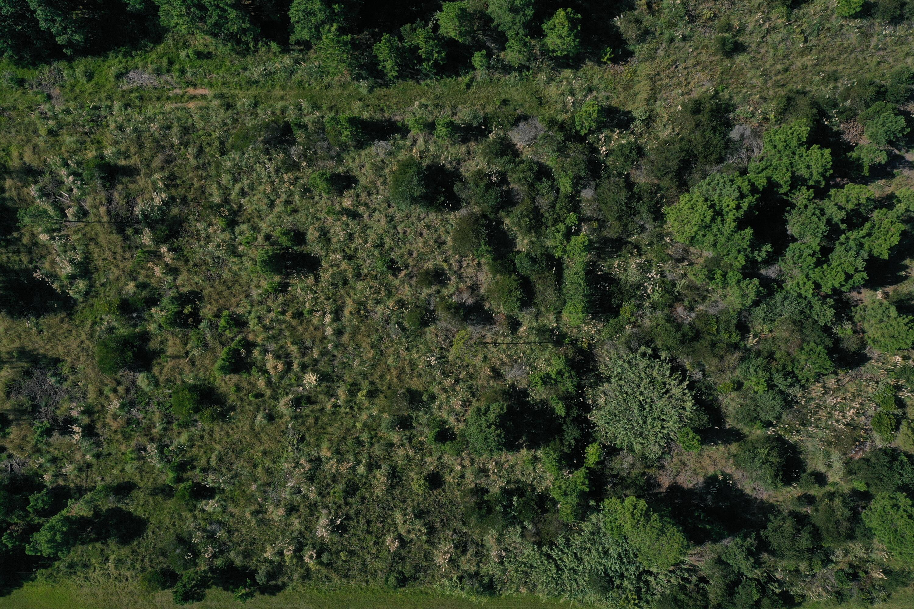 54209 Punta Del Diablo