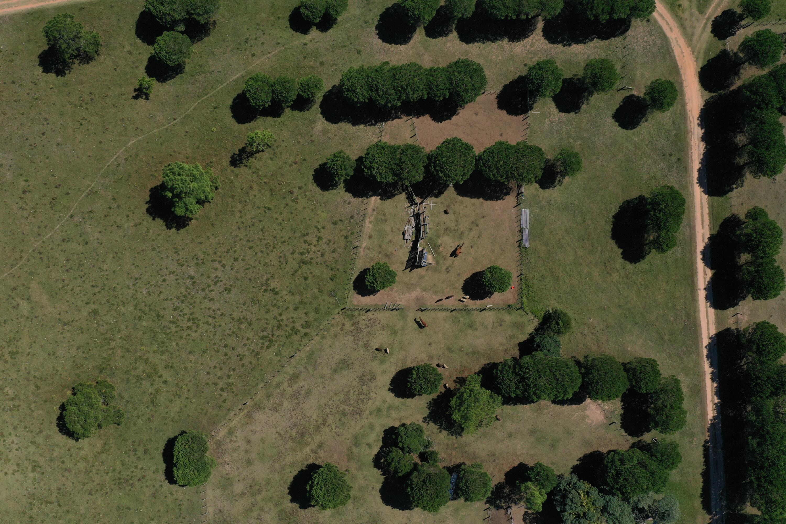 54209 Punta Del Diablo