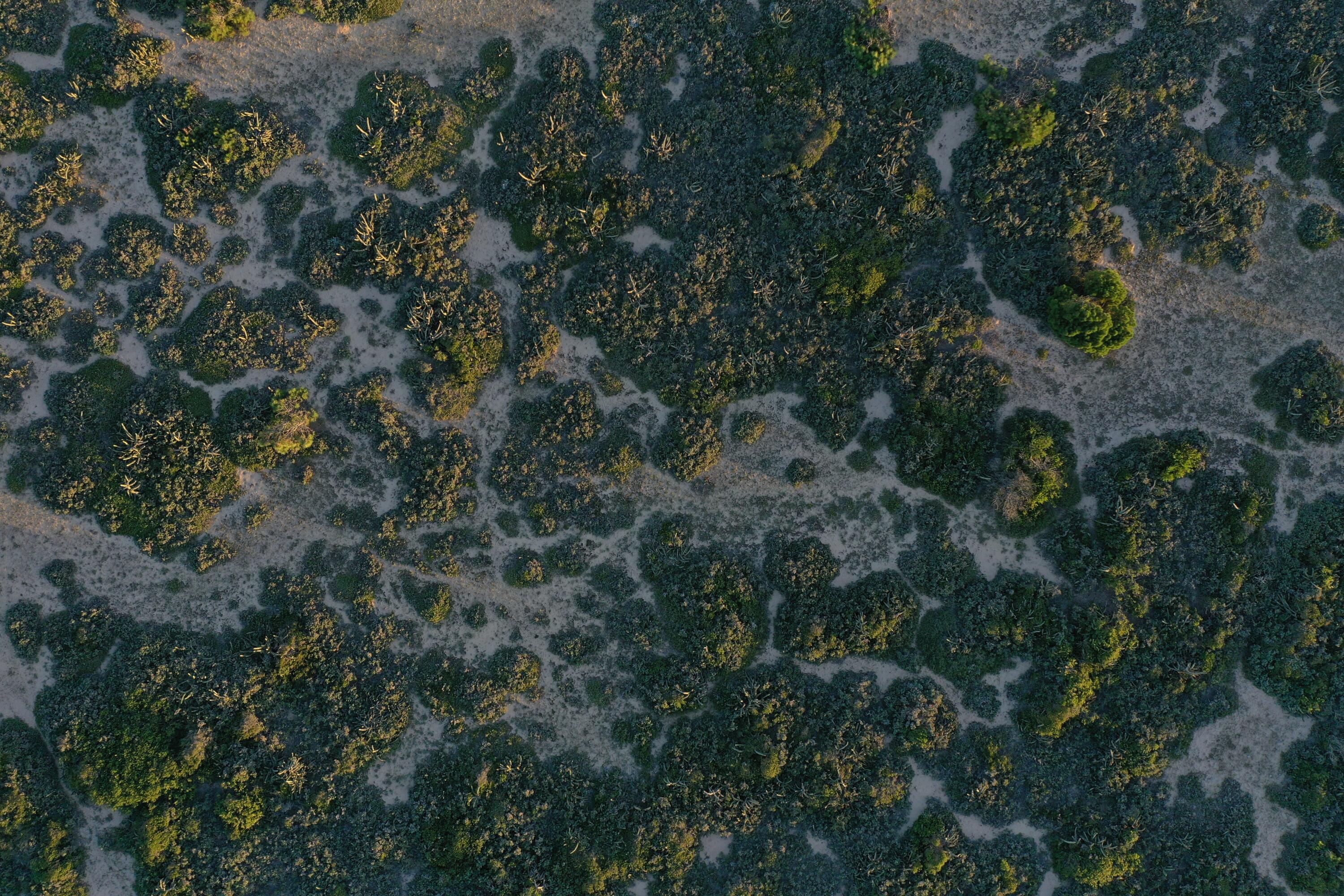 54209 Punta Del Diablo