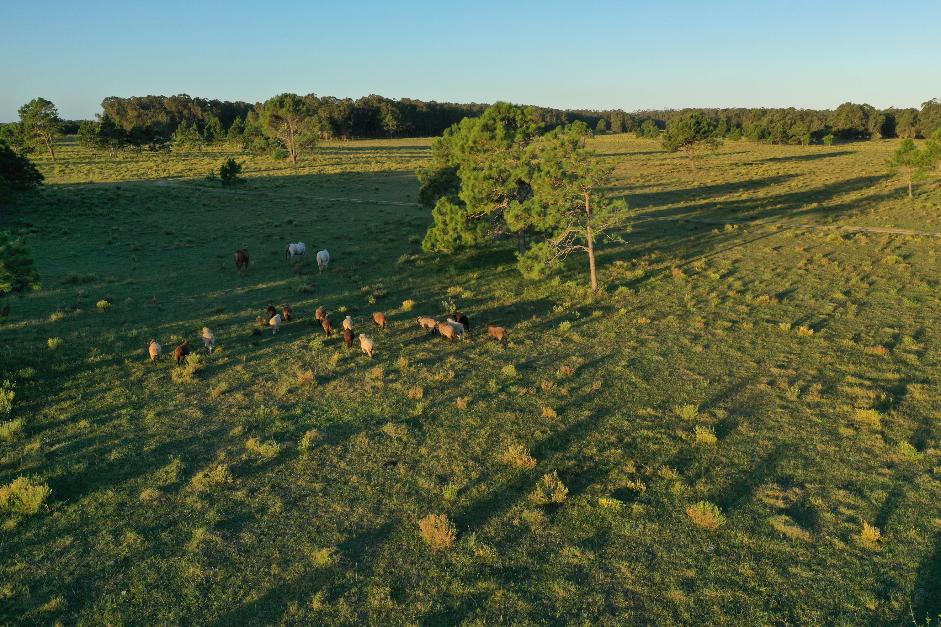 54214 Punta Del Diablo