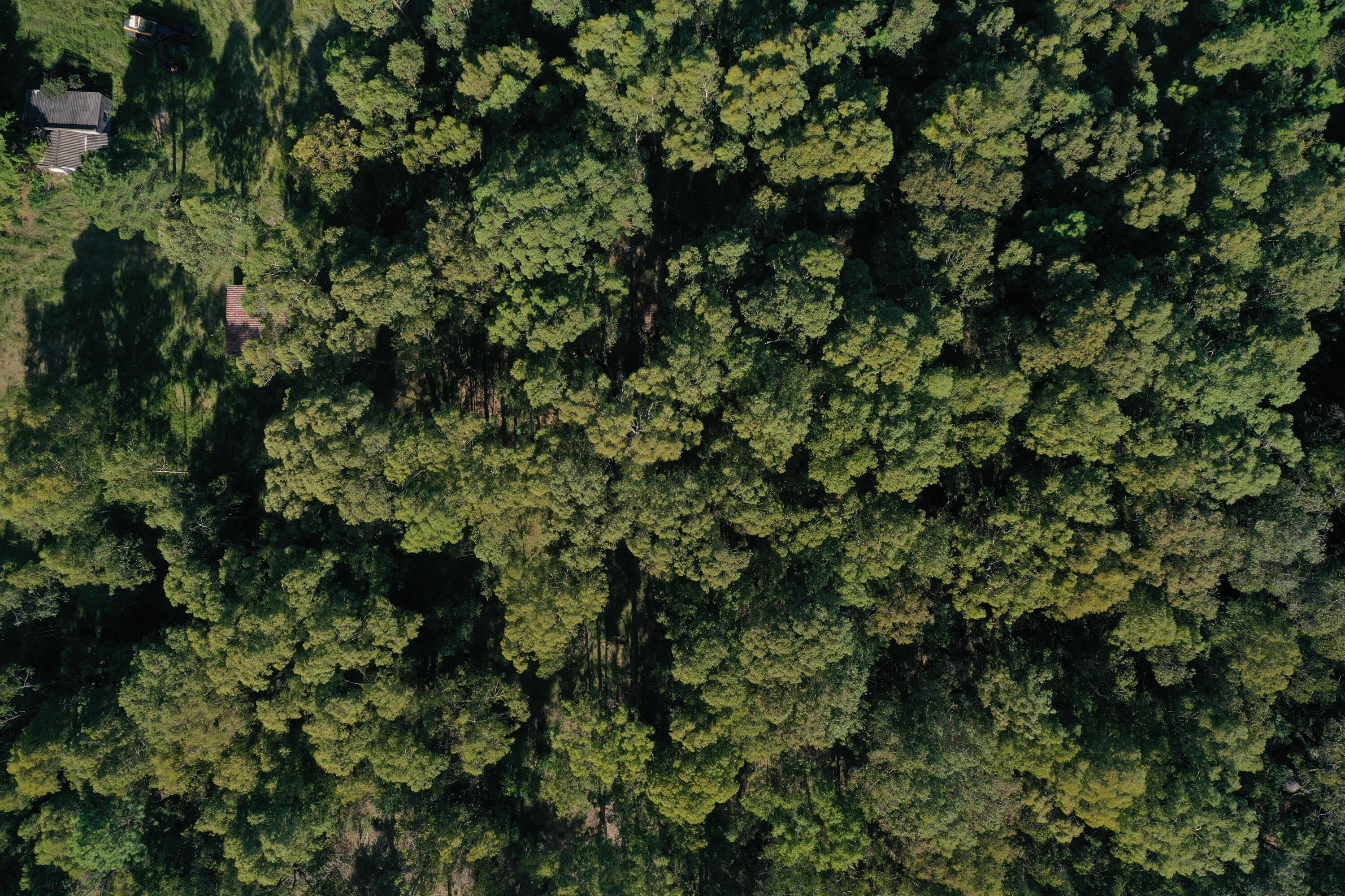 54214 Punta Del Diablo