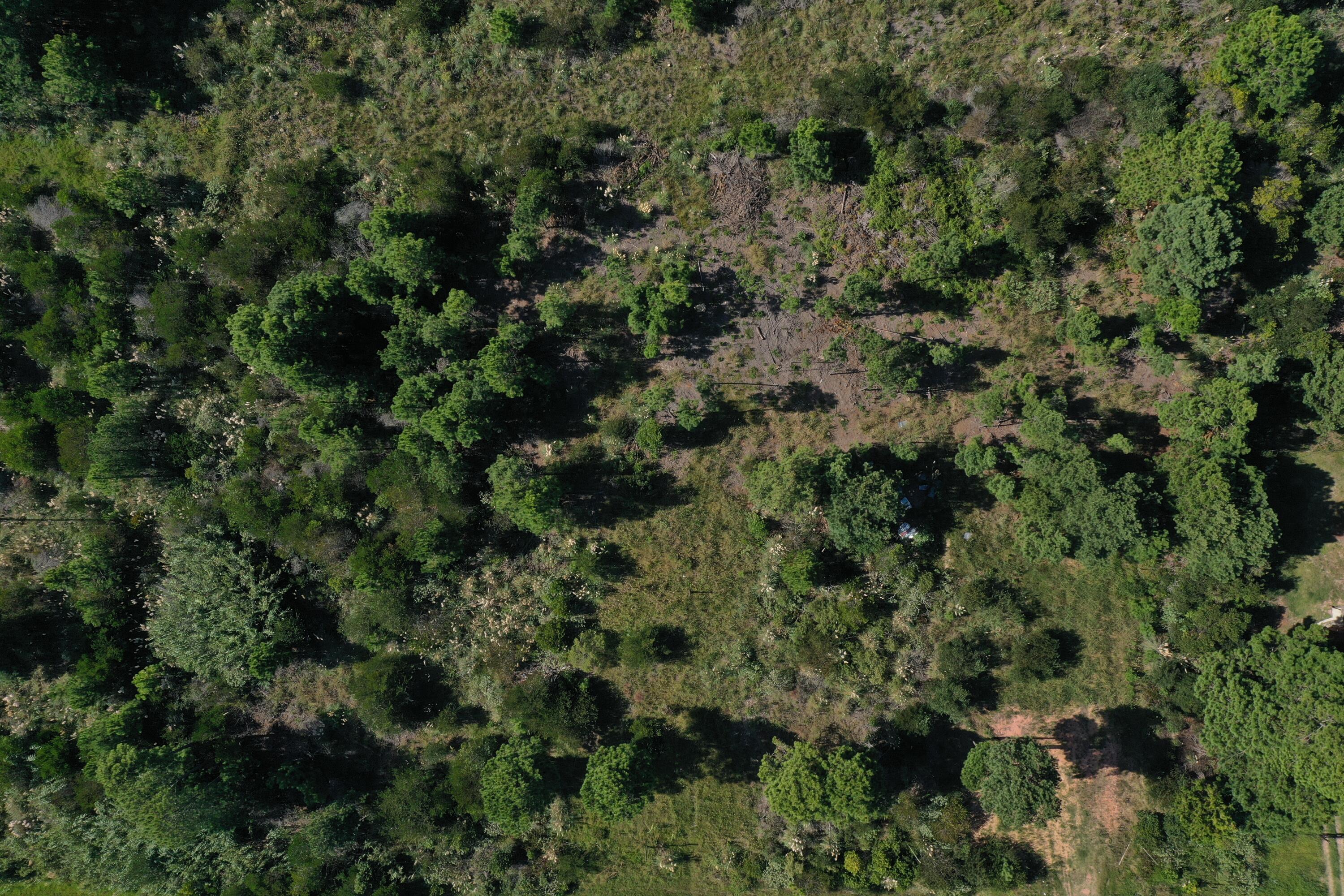 54214 Punta Del Diablo