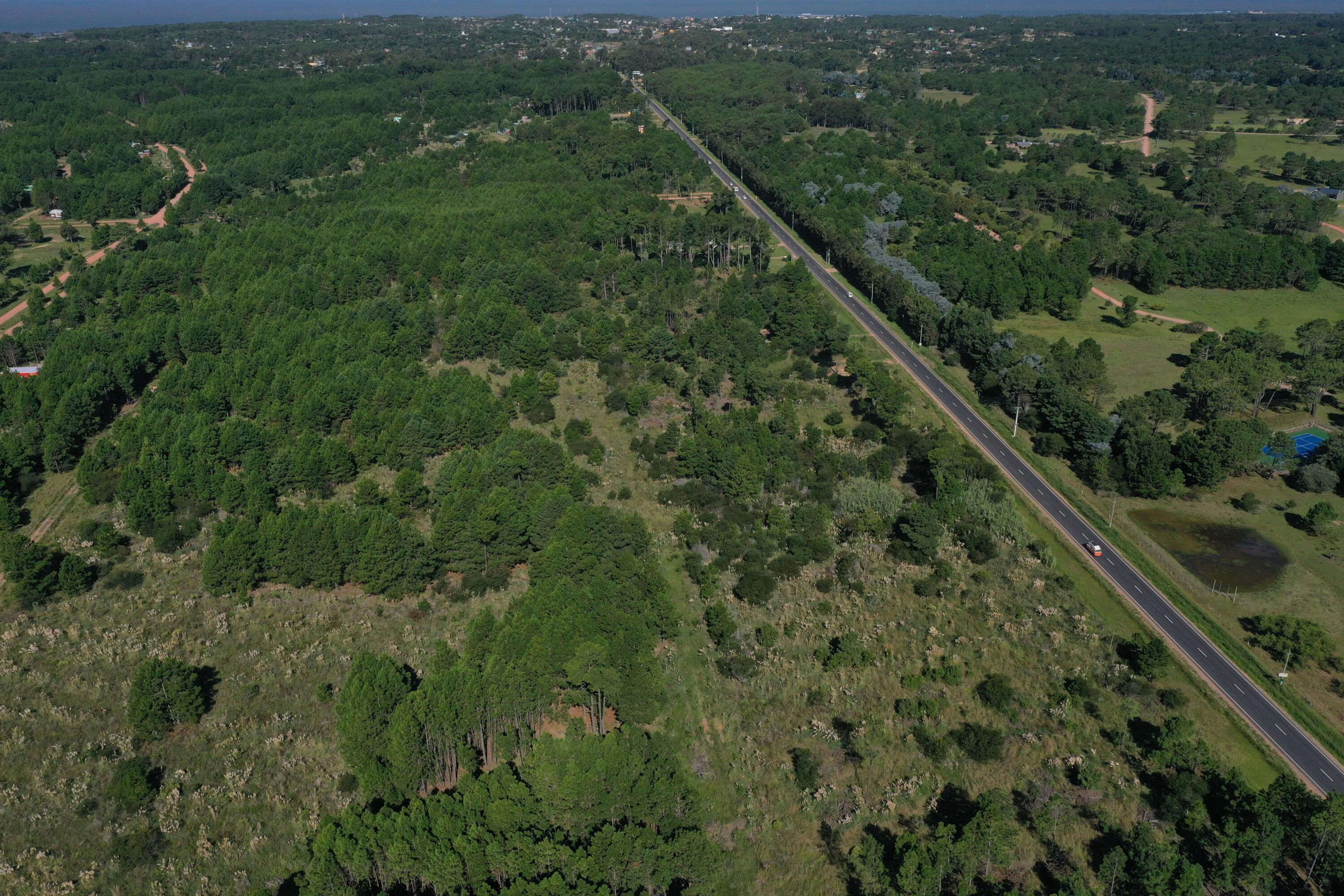 54214 Punta Del Diablo