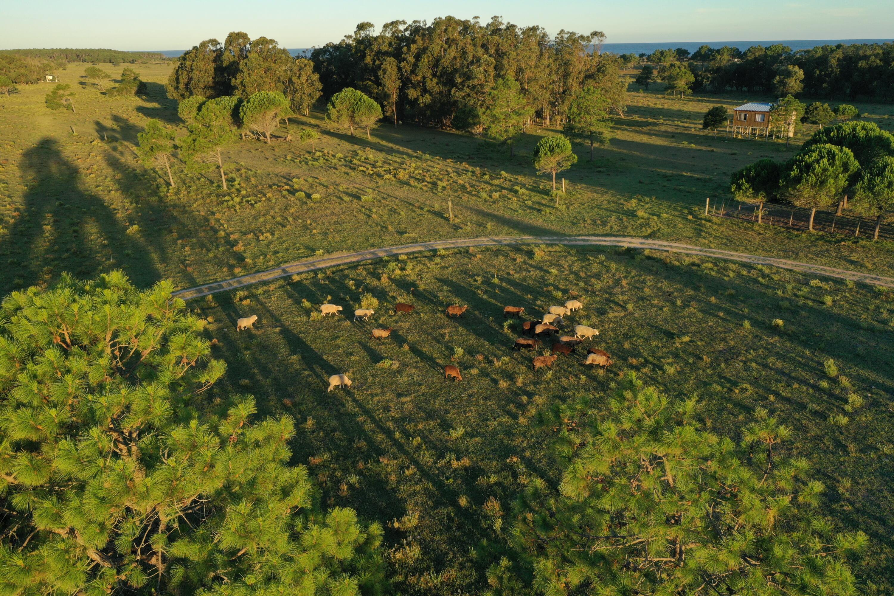 54214 Punta Del Diablo