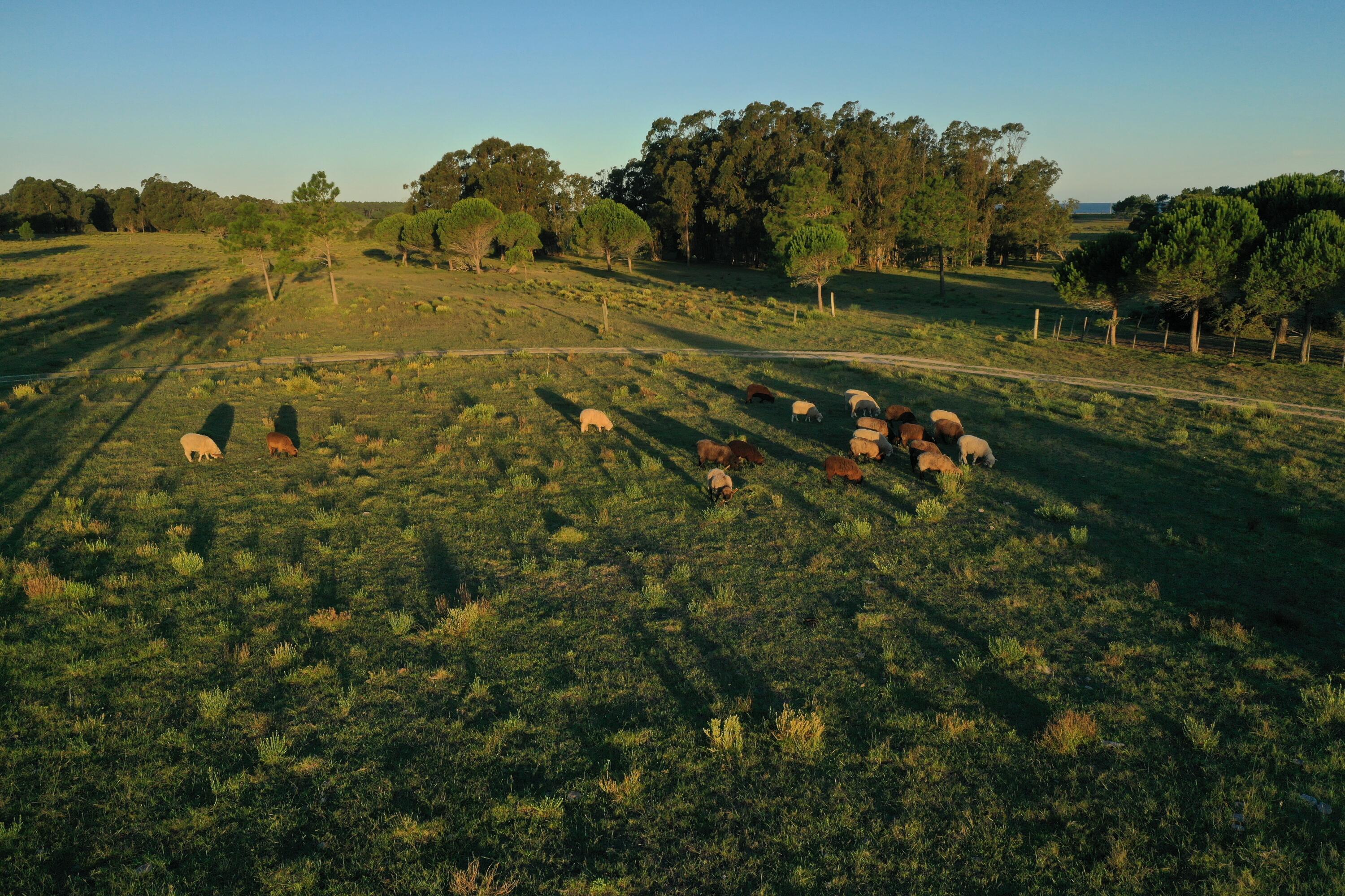 54214 Punta Del Diablo