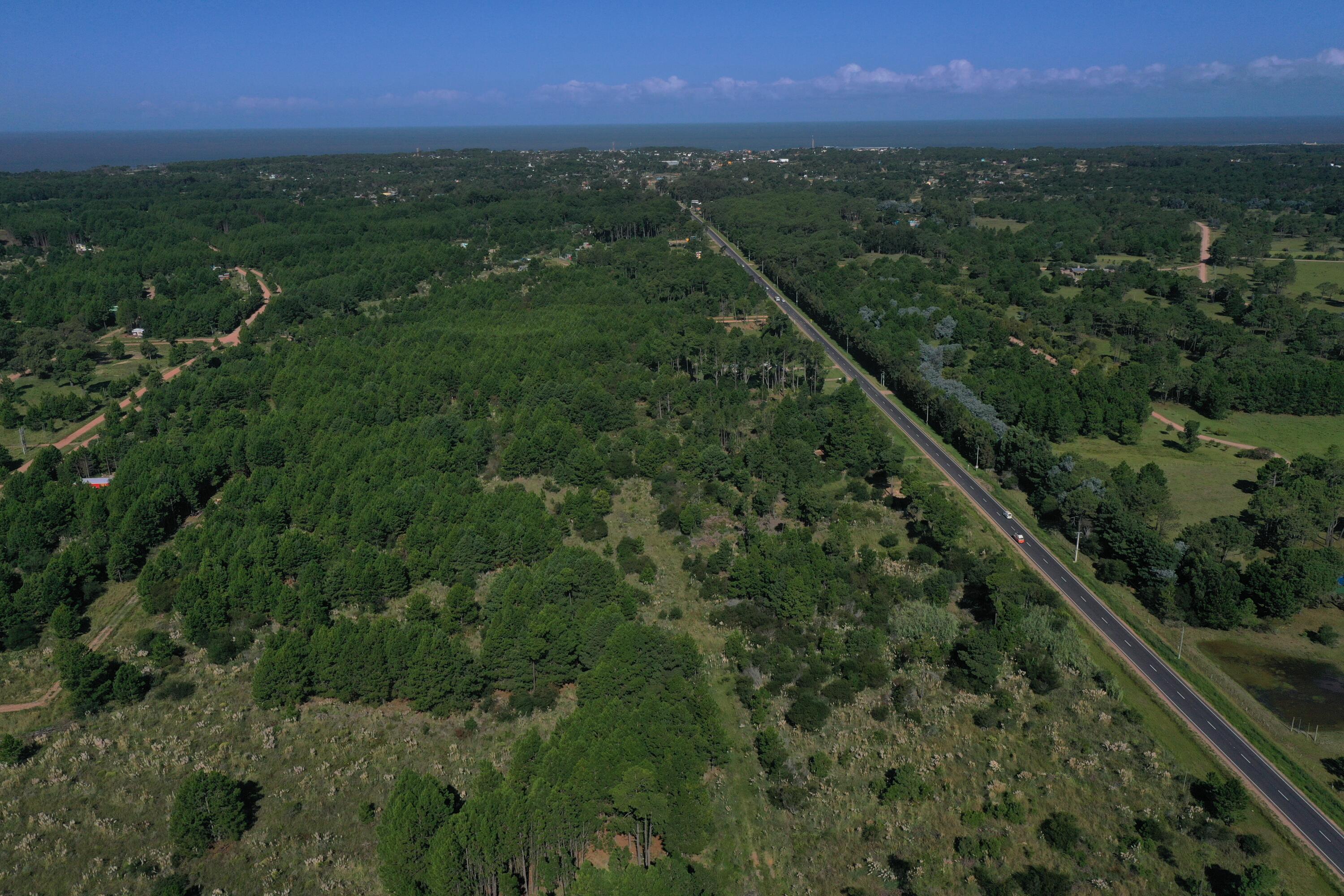 54214 Punta Del Diablo