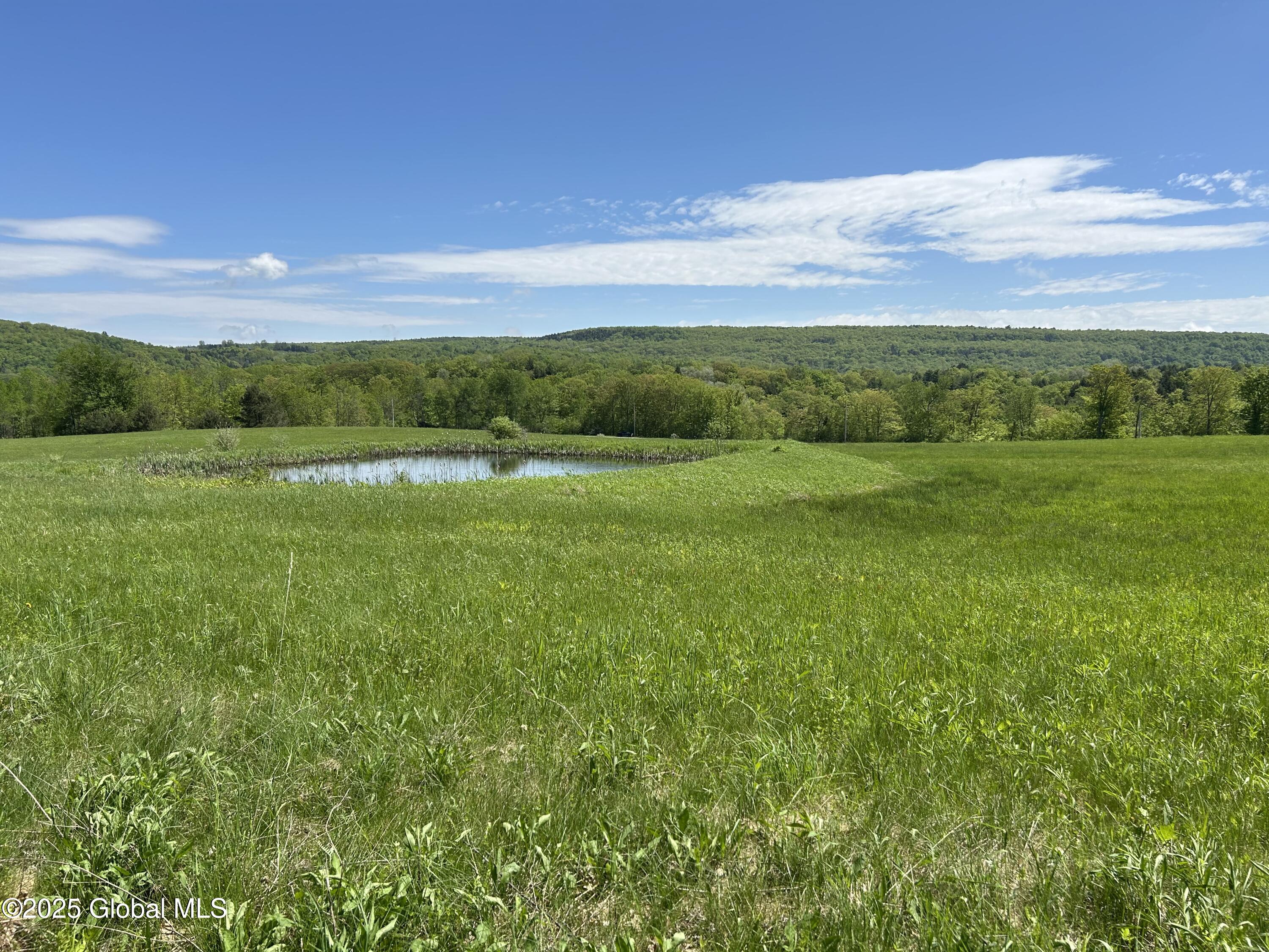 Lot 3 Gifford Hollow Road