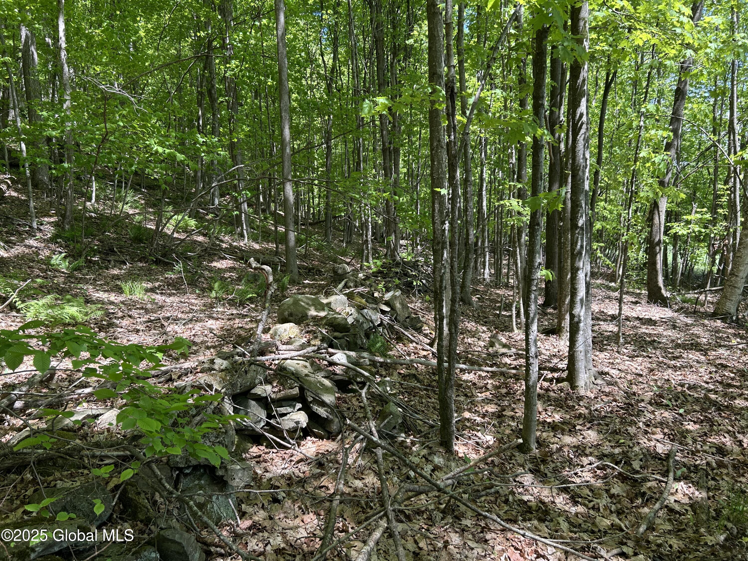 Lot 3 Gifford Hollow Road