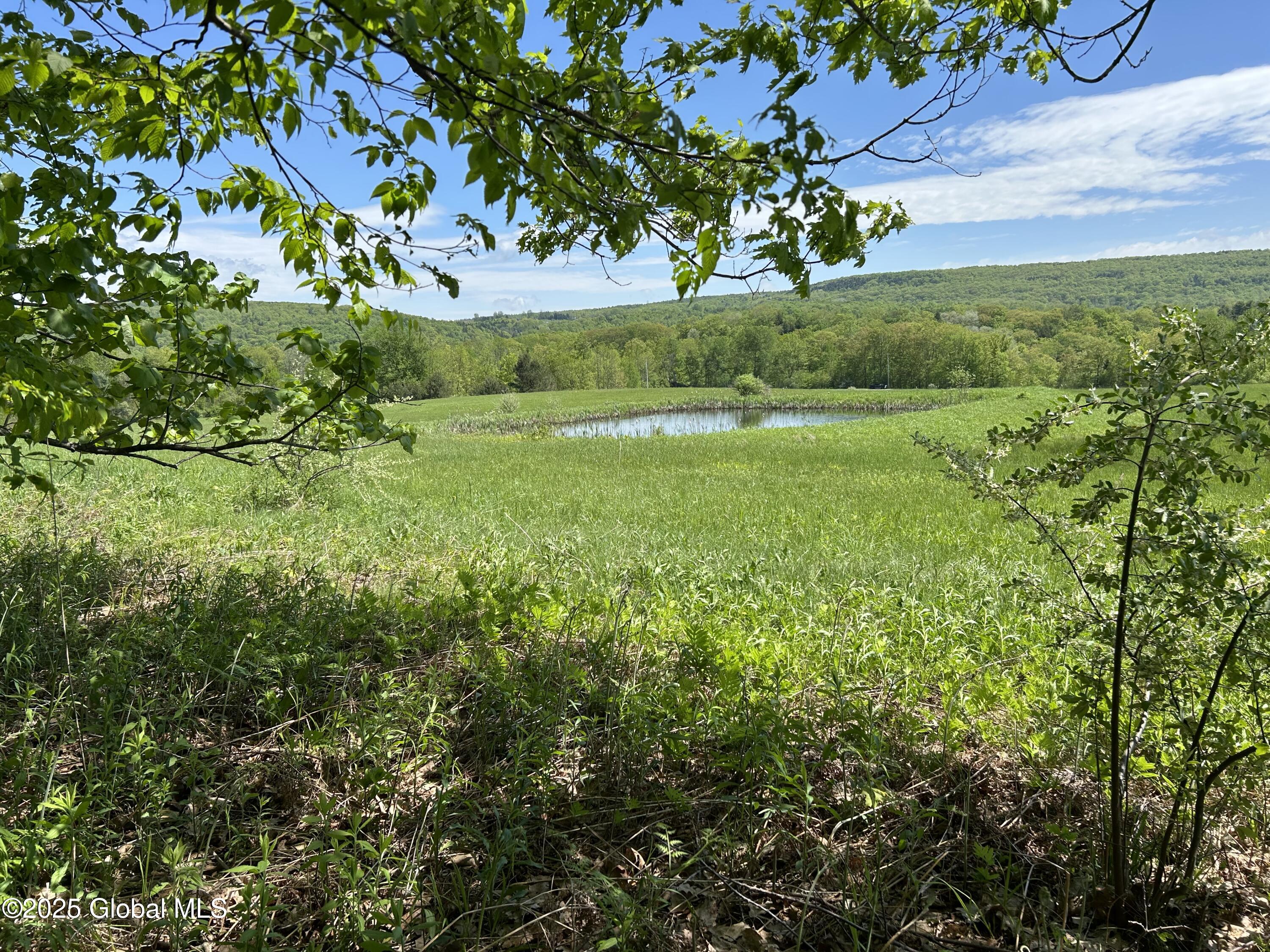 Lot 3 Gifford Hollow Road