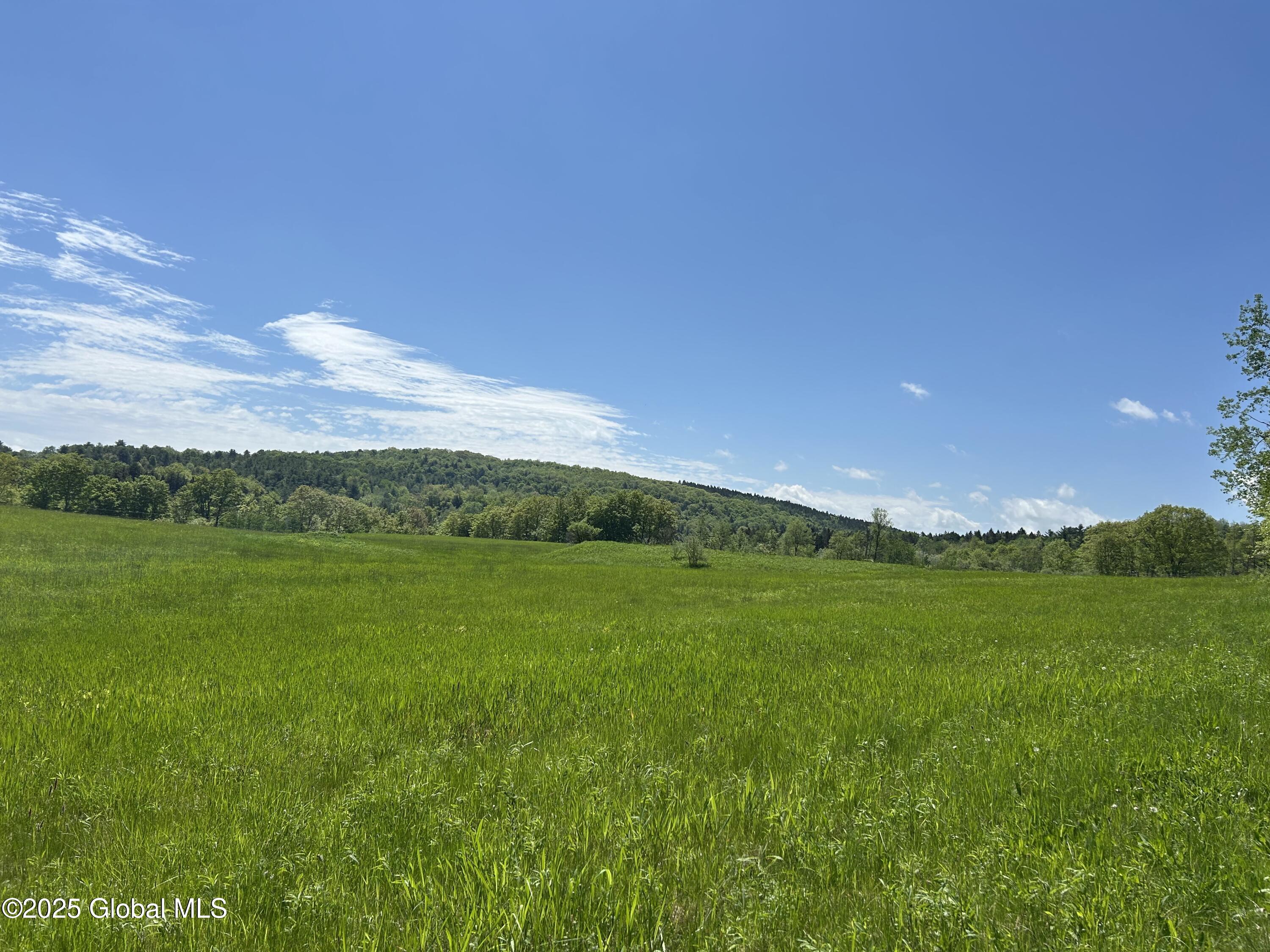 Lot 3 Gifford Hollow Road