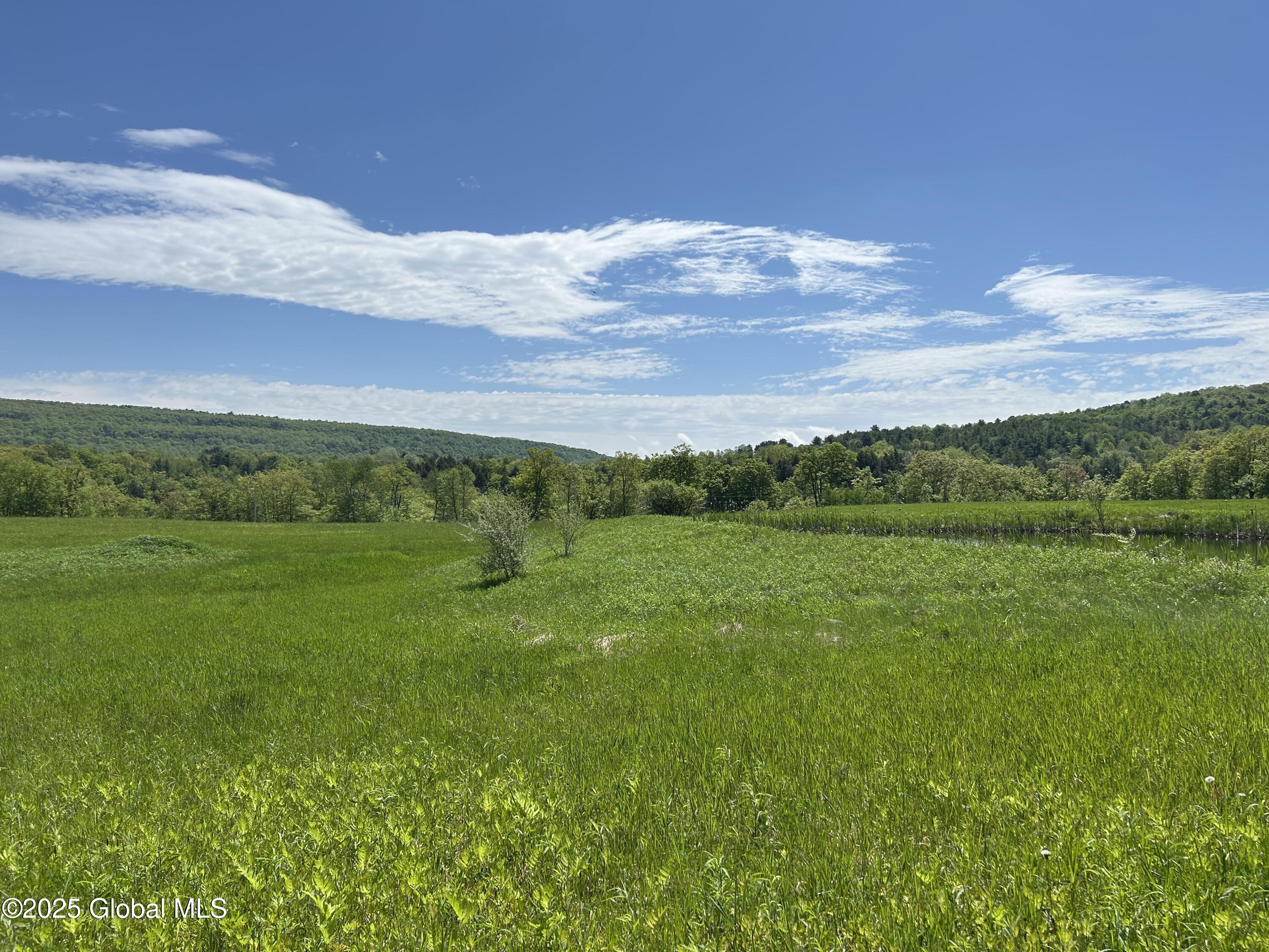 Lot 3 Gifford Hollow Road