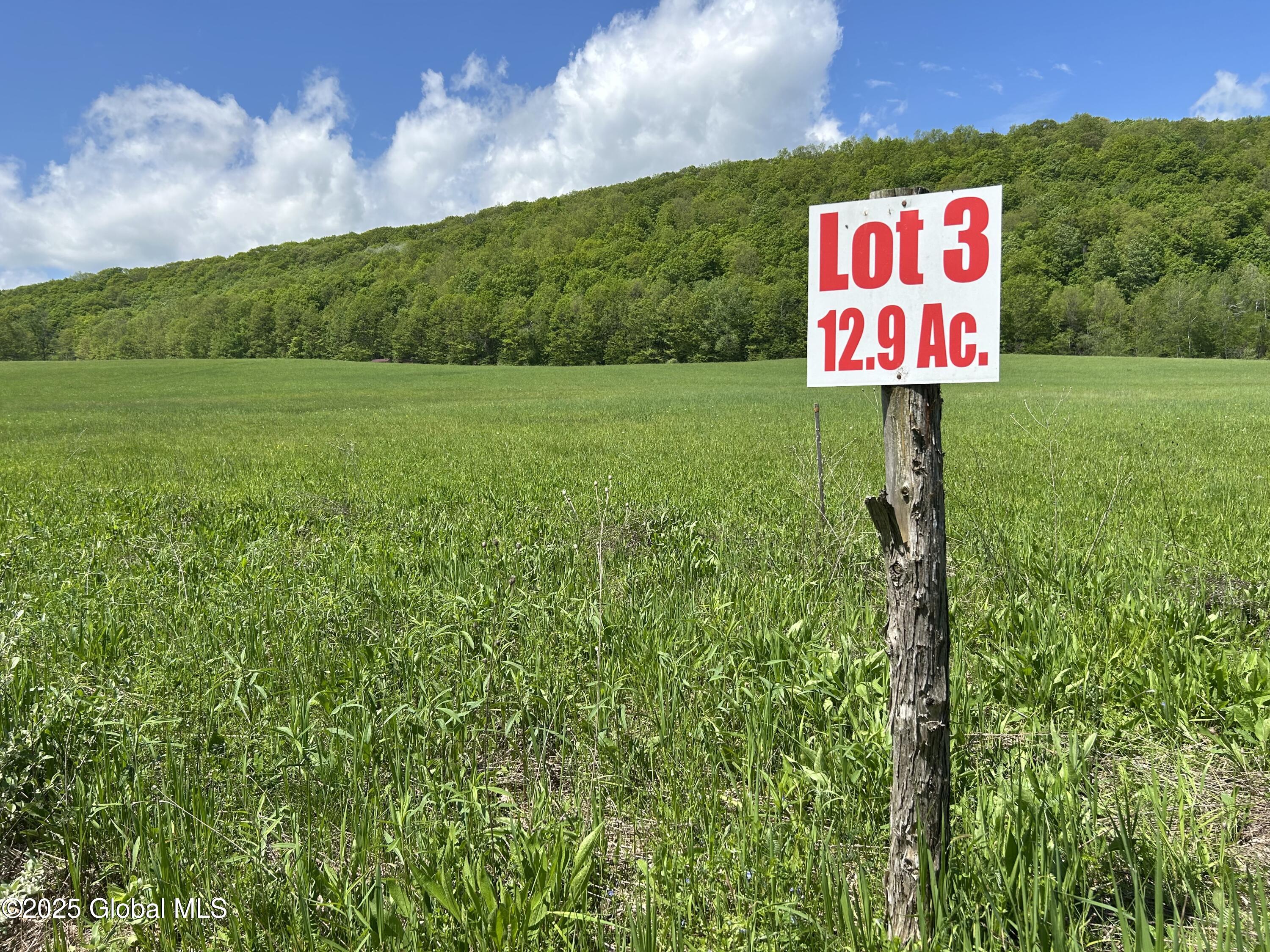 Lot 3 Gifford Hollow Road