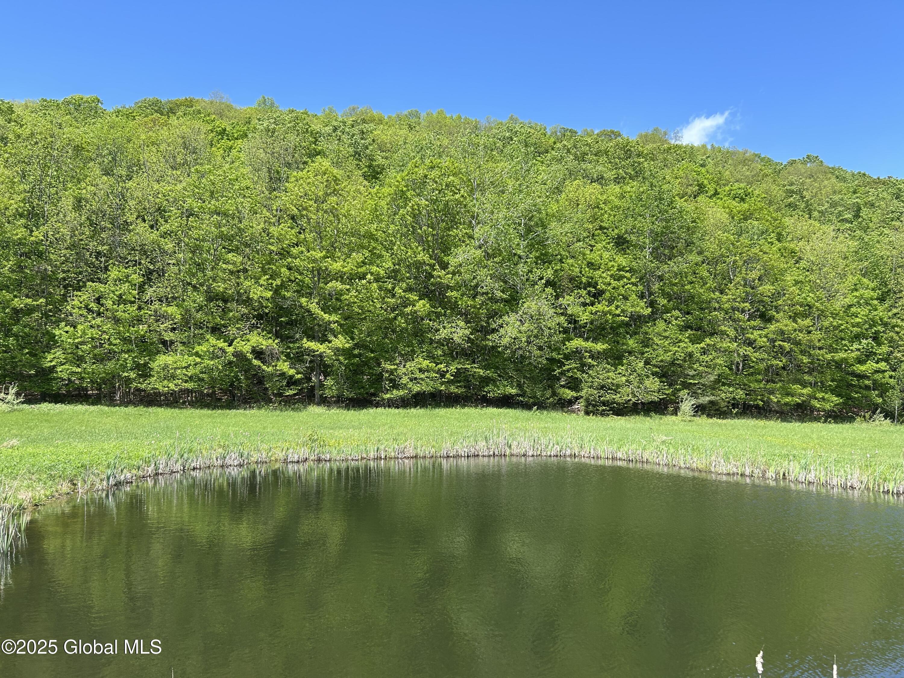 Lot 3 Gifford Hollow Road