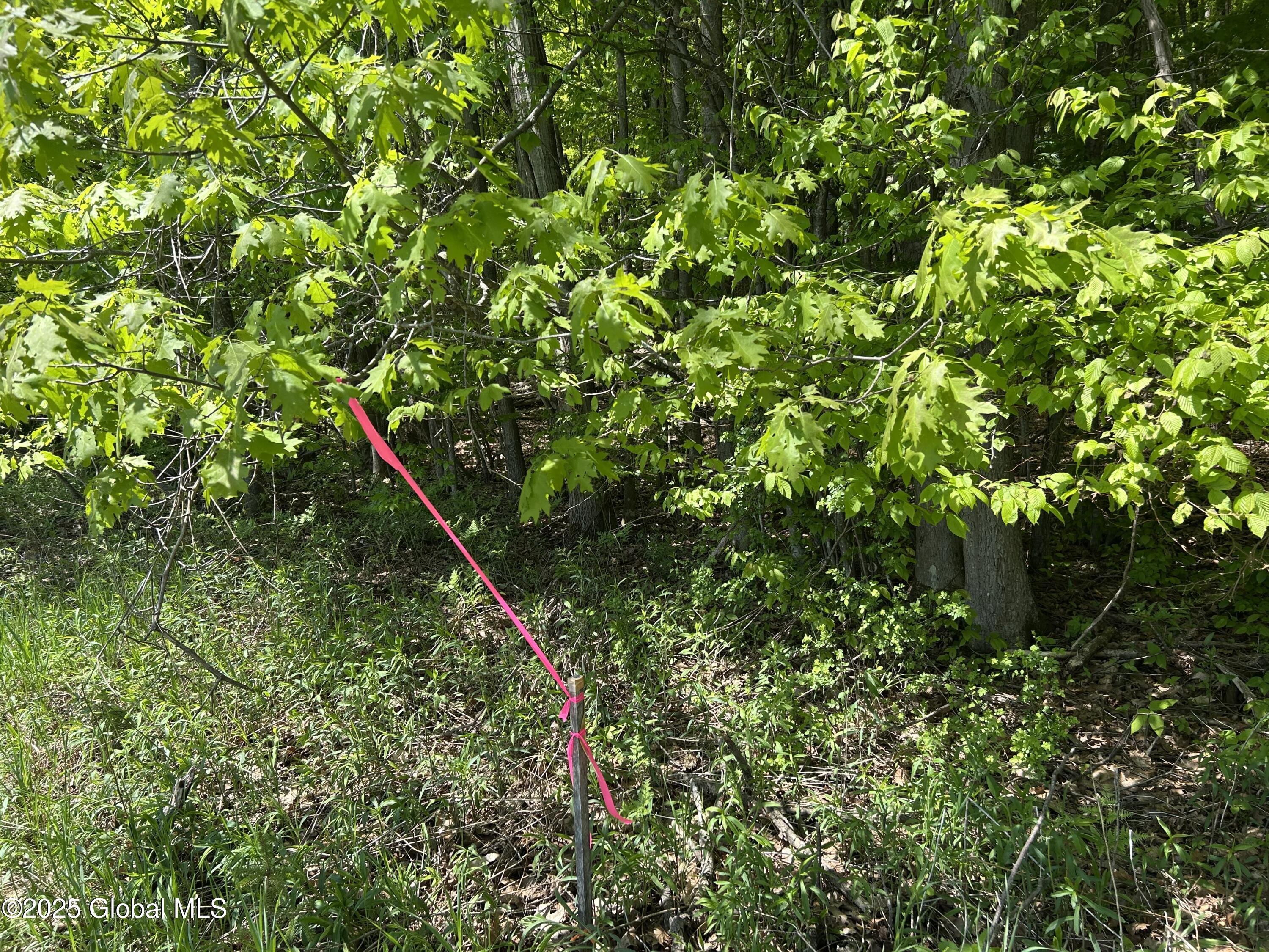 Lot 3 Gifford Hollow Road