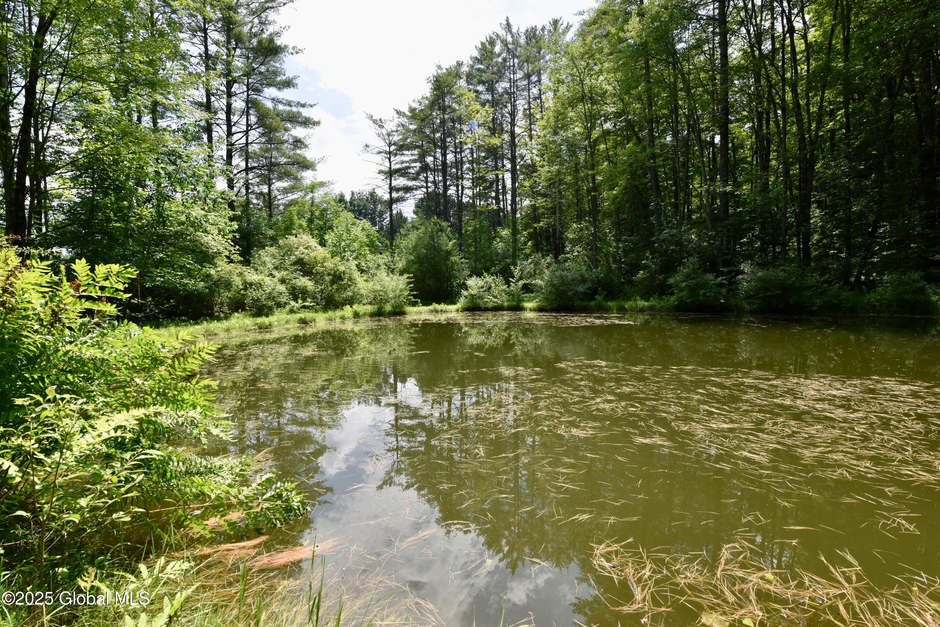 1323 Armer Road