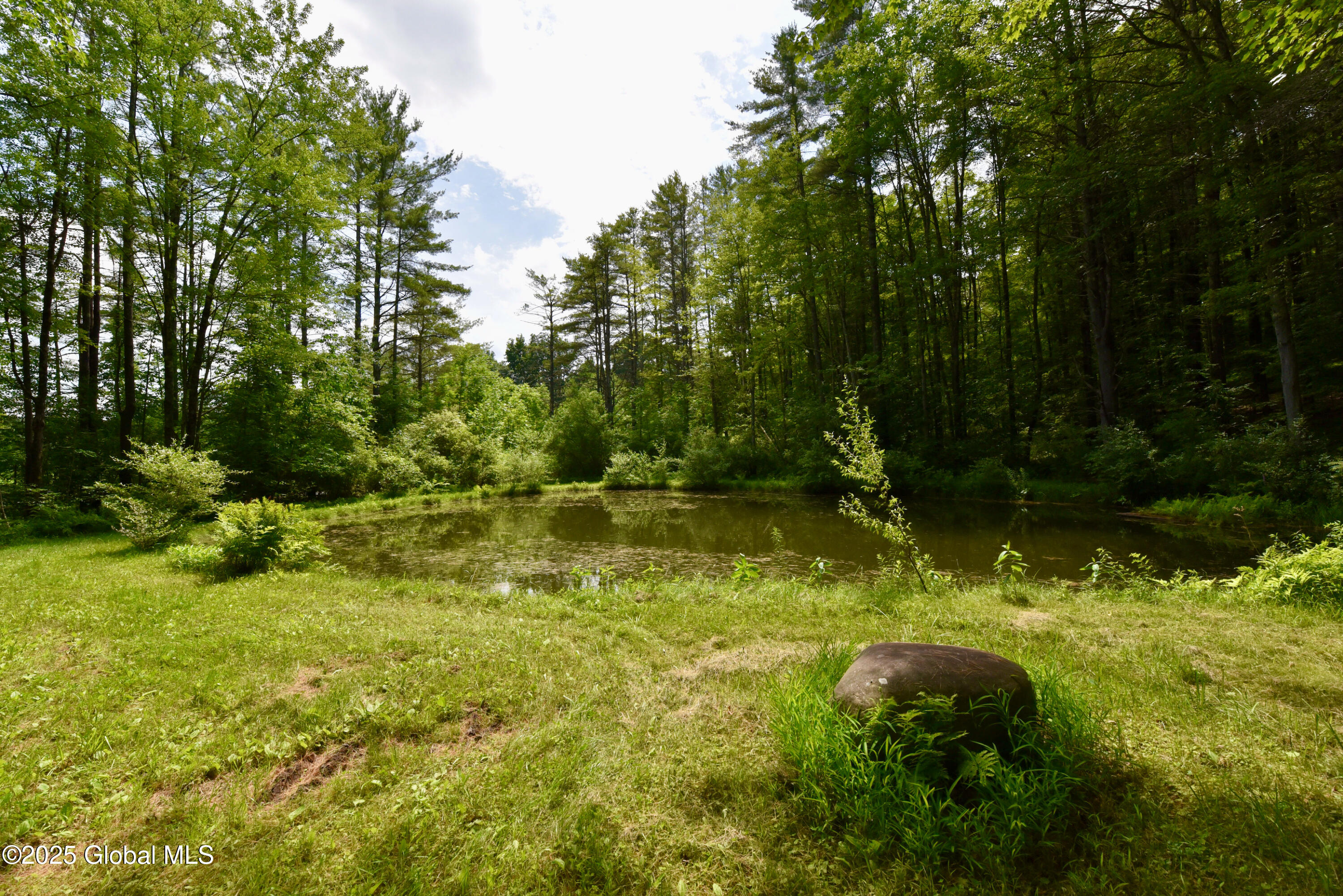 1323 Armer Road