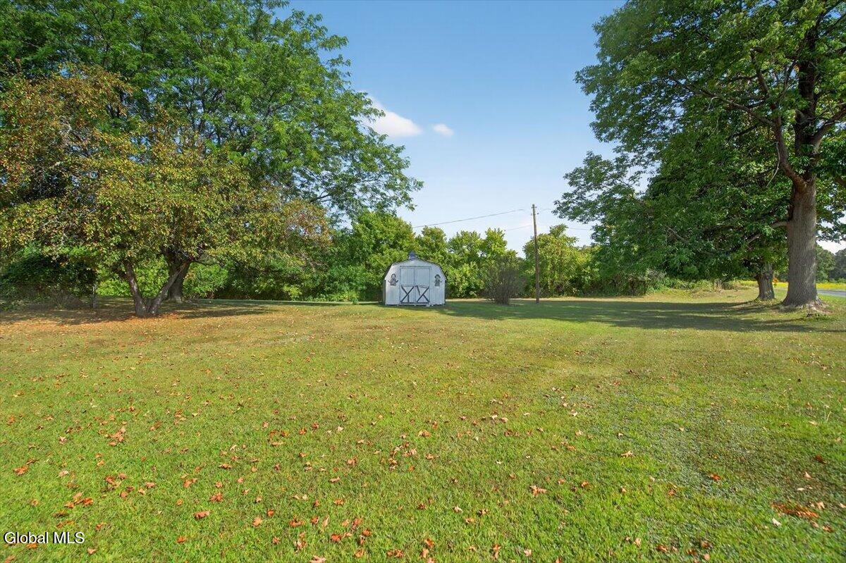99 Blizzard Road