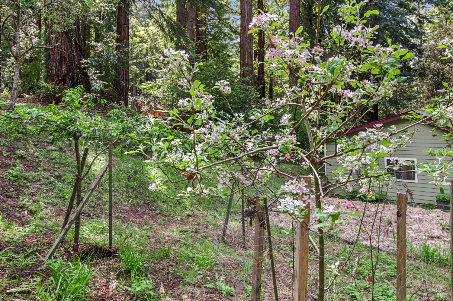 12480 Fiori Lane