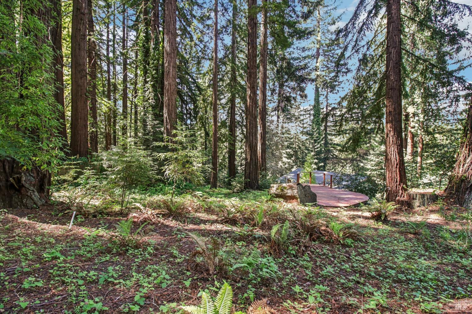 12480 Fiori Lane