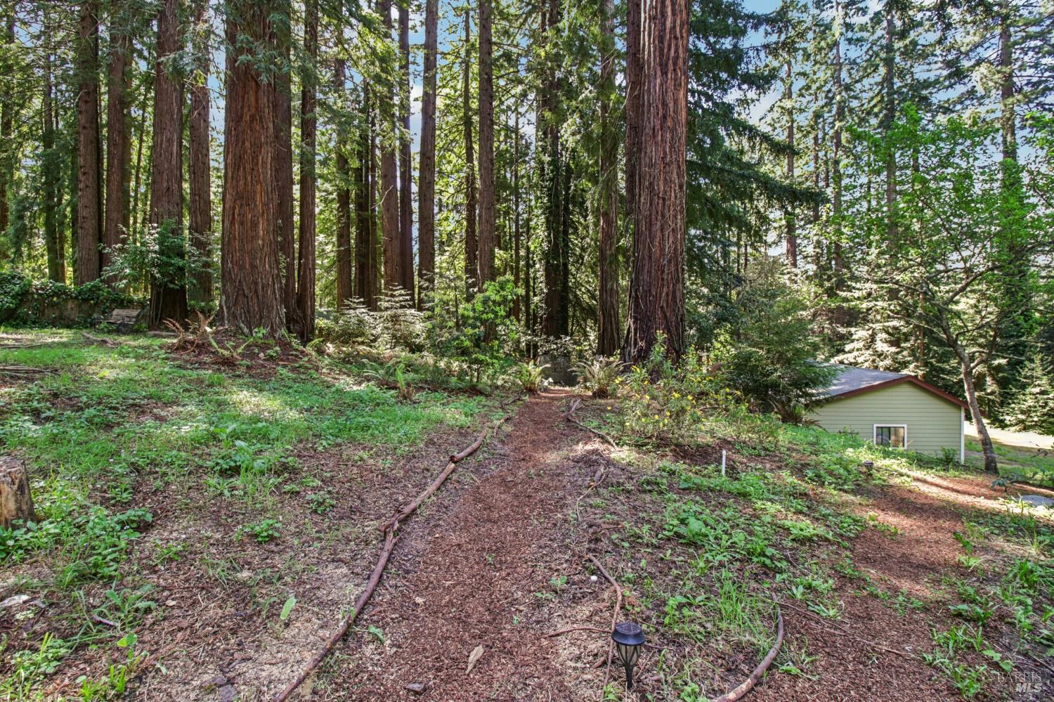 12480 Fiori Lane