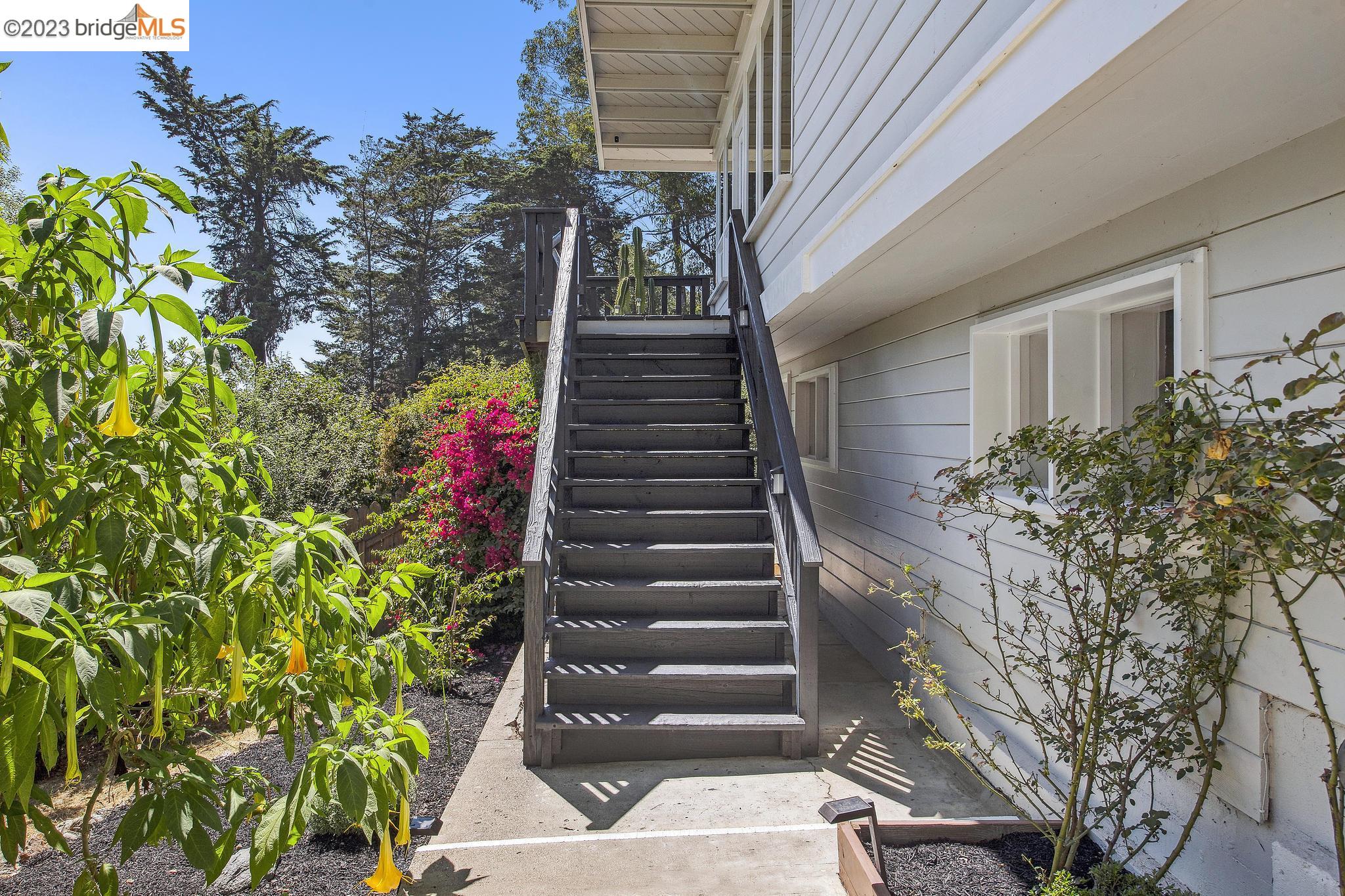19 Cortez ct