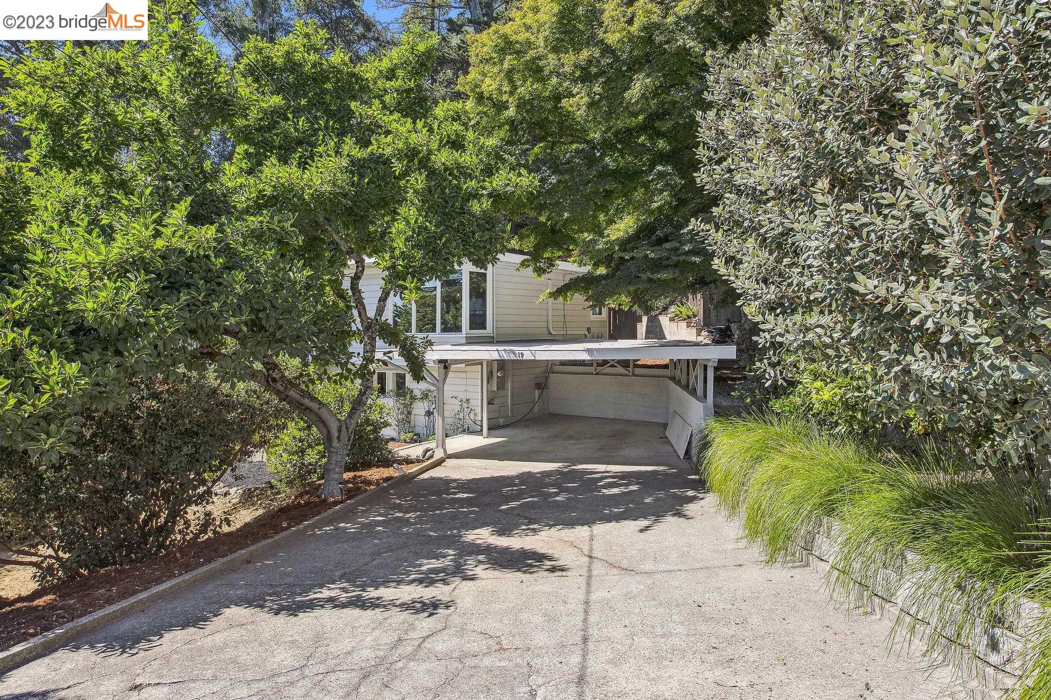 19 Cortez ct