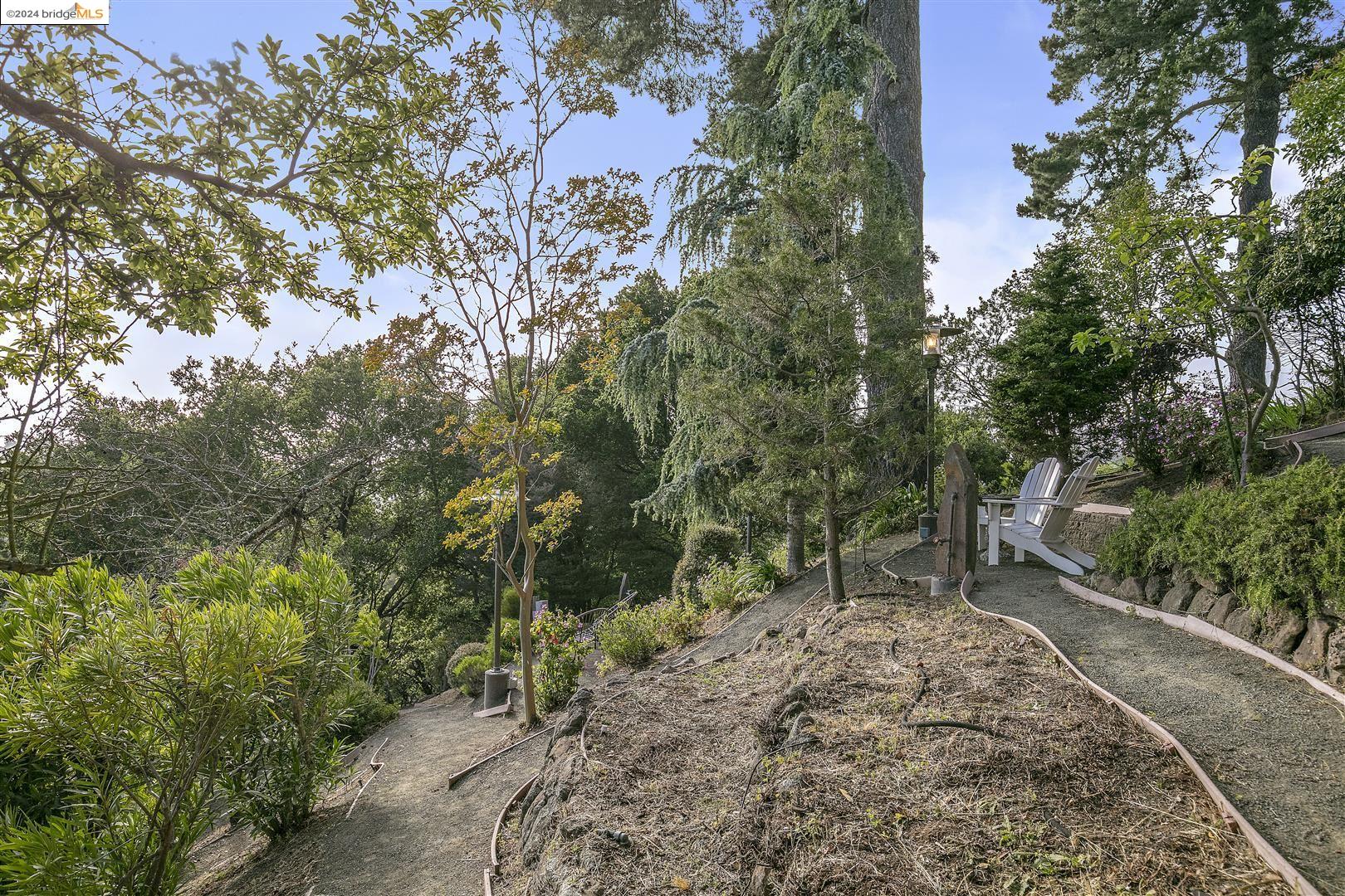 6133 Snake Rd