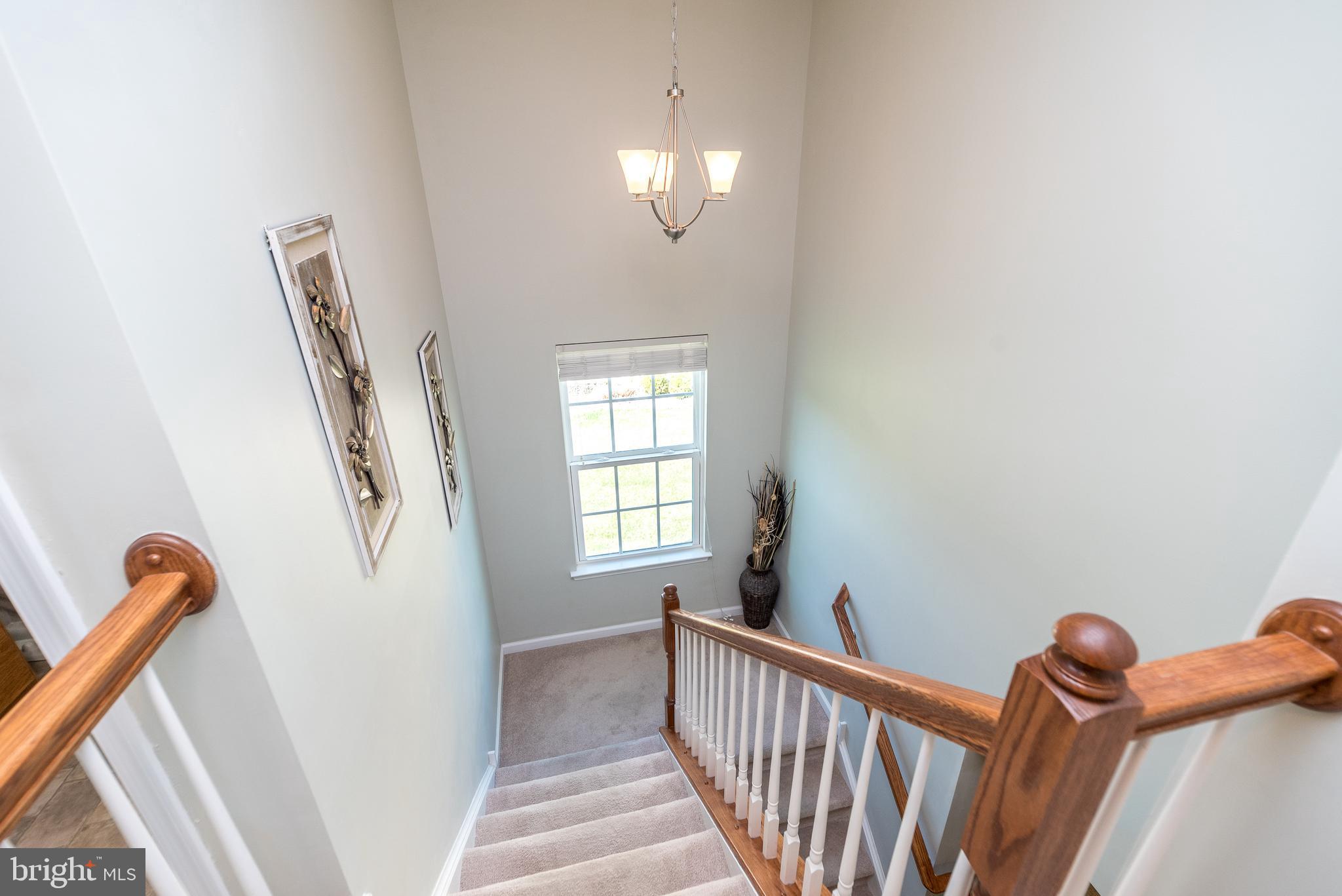 1909 Alamingo Dr