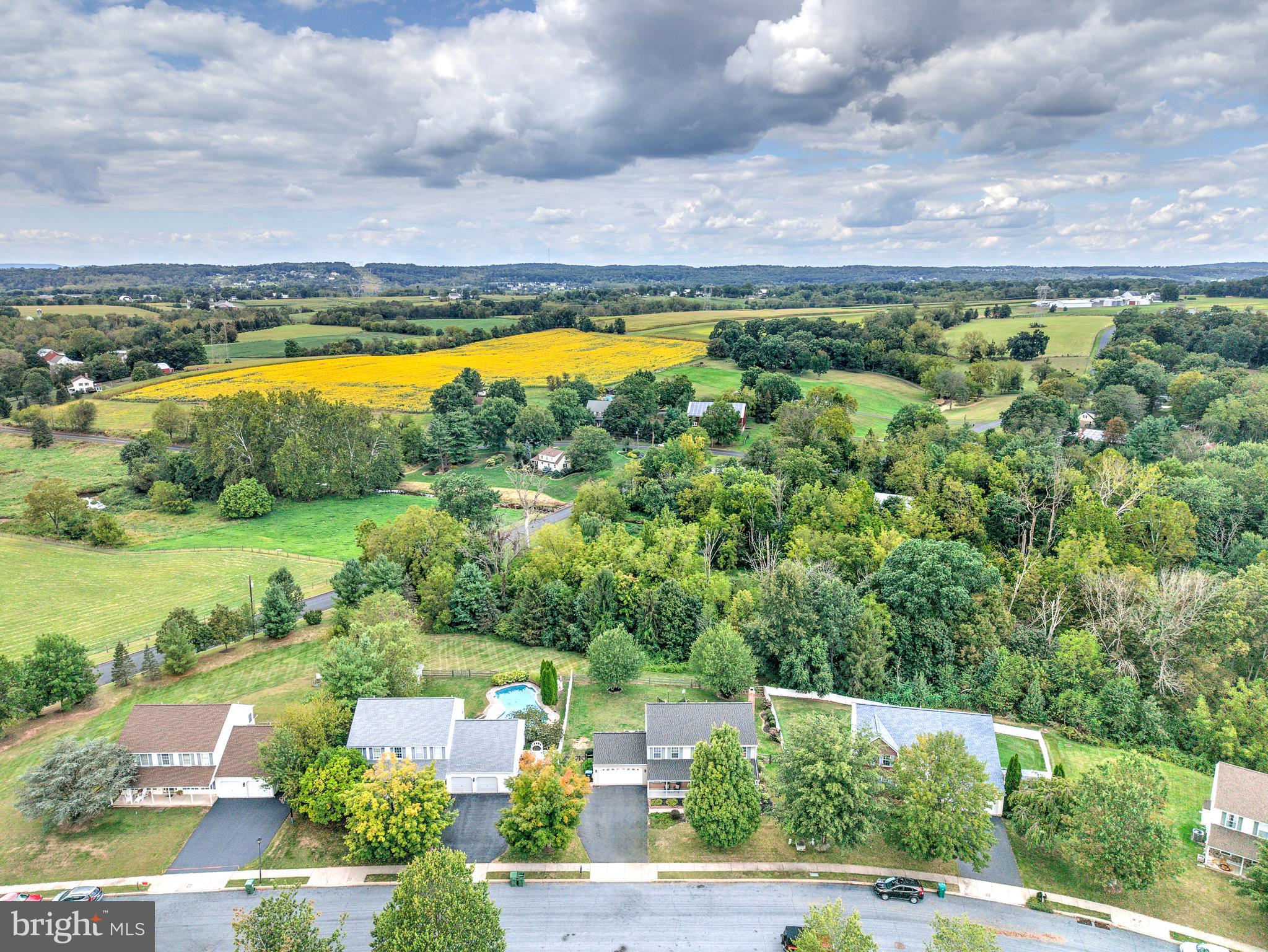 1005 DORCHESTER LANE